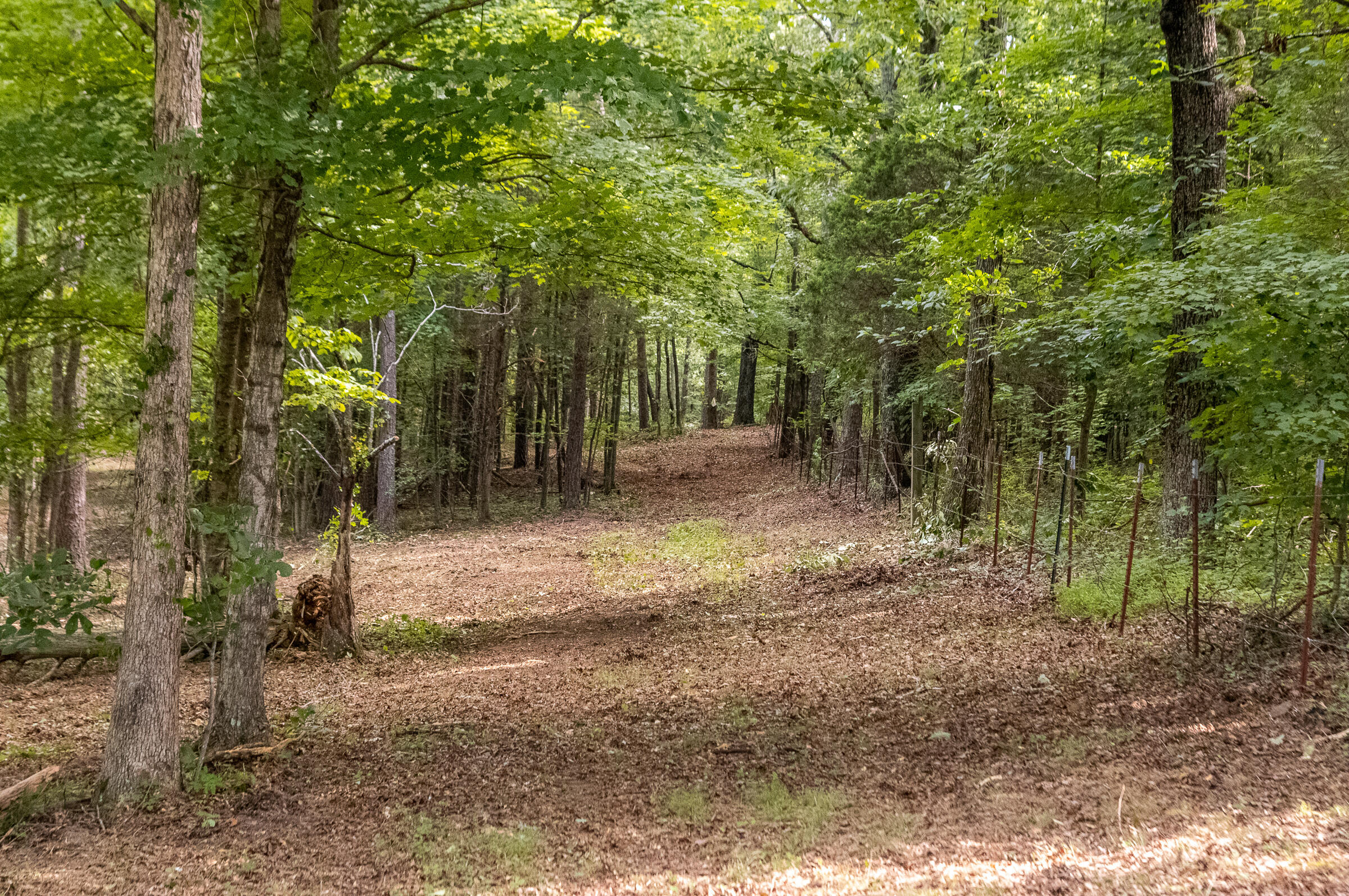 12814 Cranfield Road, Birchwood, Tennessee image 27