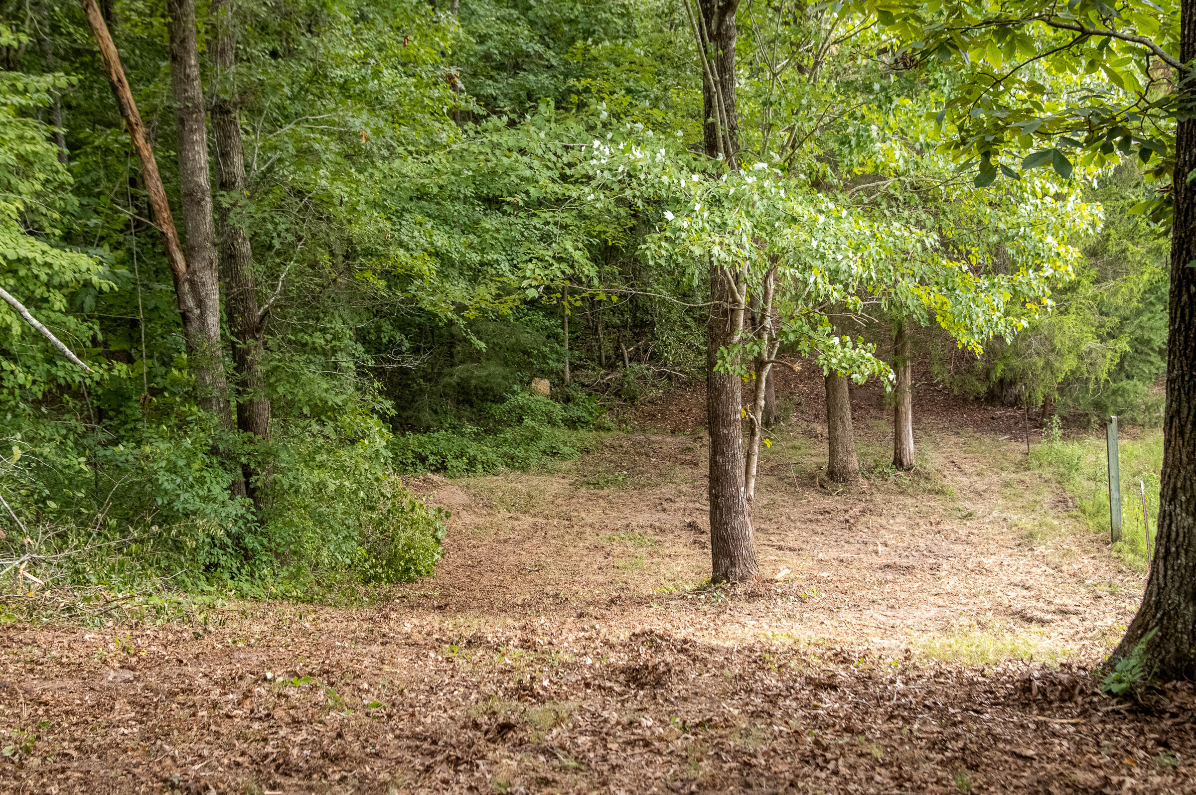 12814 Cranfield Road, Birchwood, Tennessee image 31