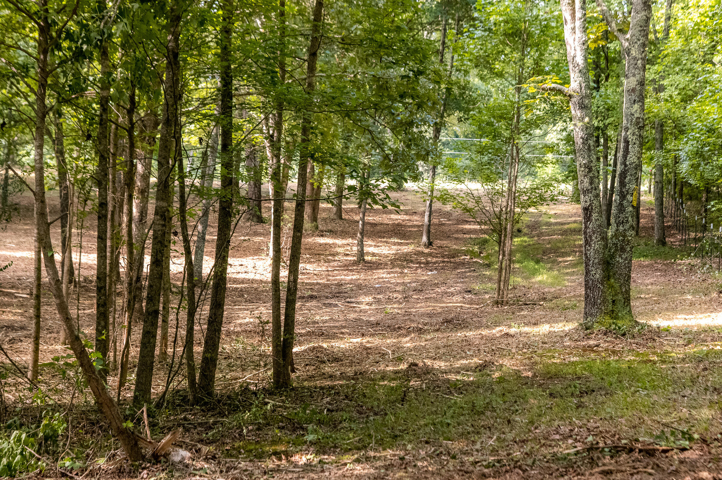 12814 Cranfield Road, Birchwood, Tennessee image 21