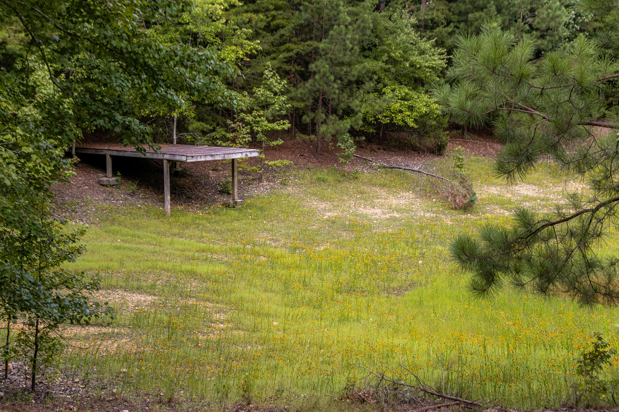 12814 Cranfield Road, Birchwood, Tennessee image 39