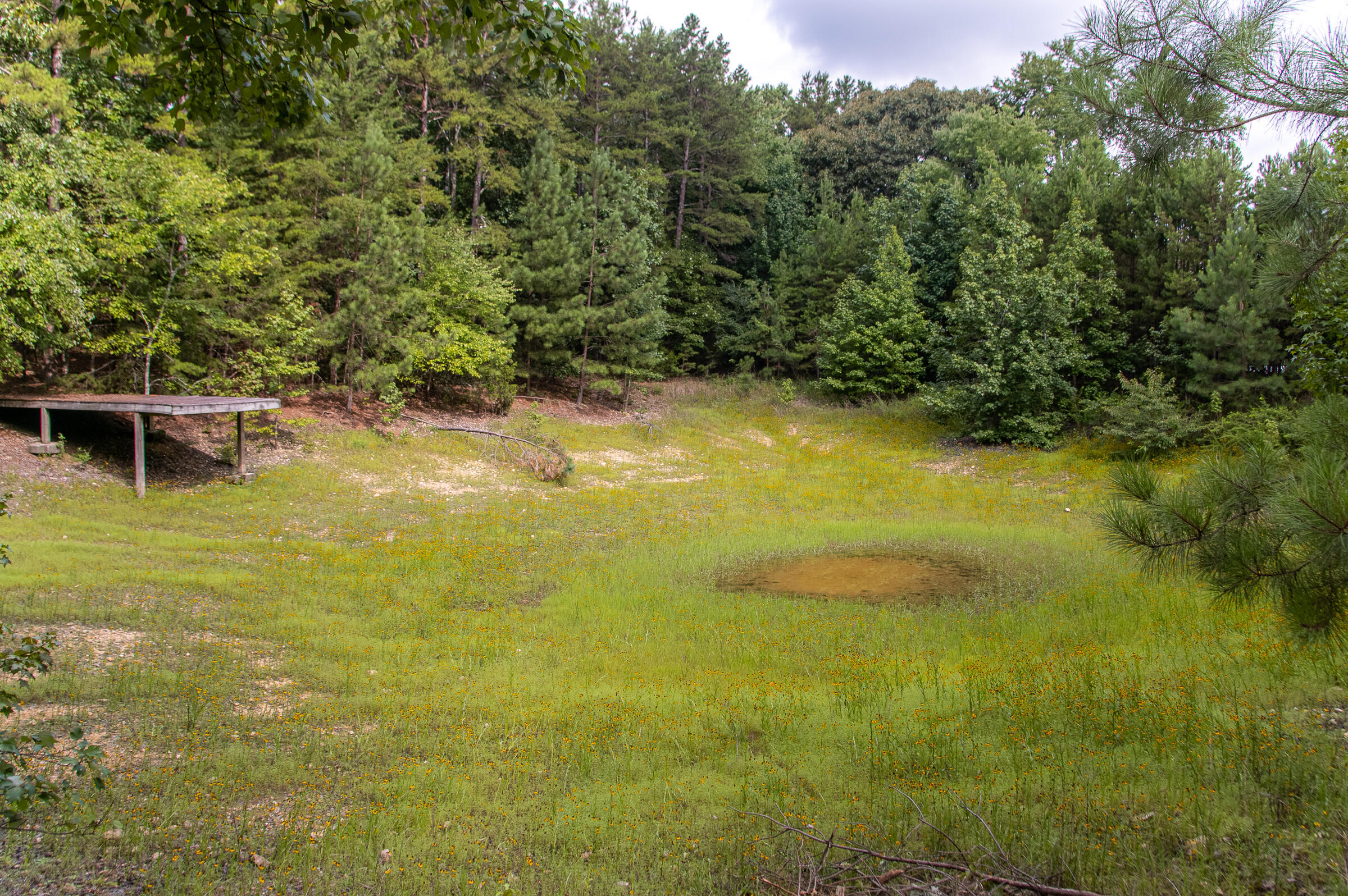 12814 Cranfield Road, Birchwood, Tennessee image 40