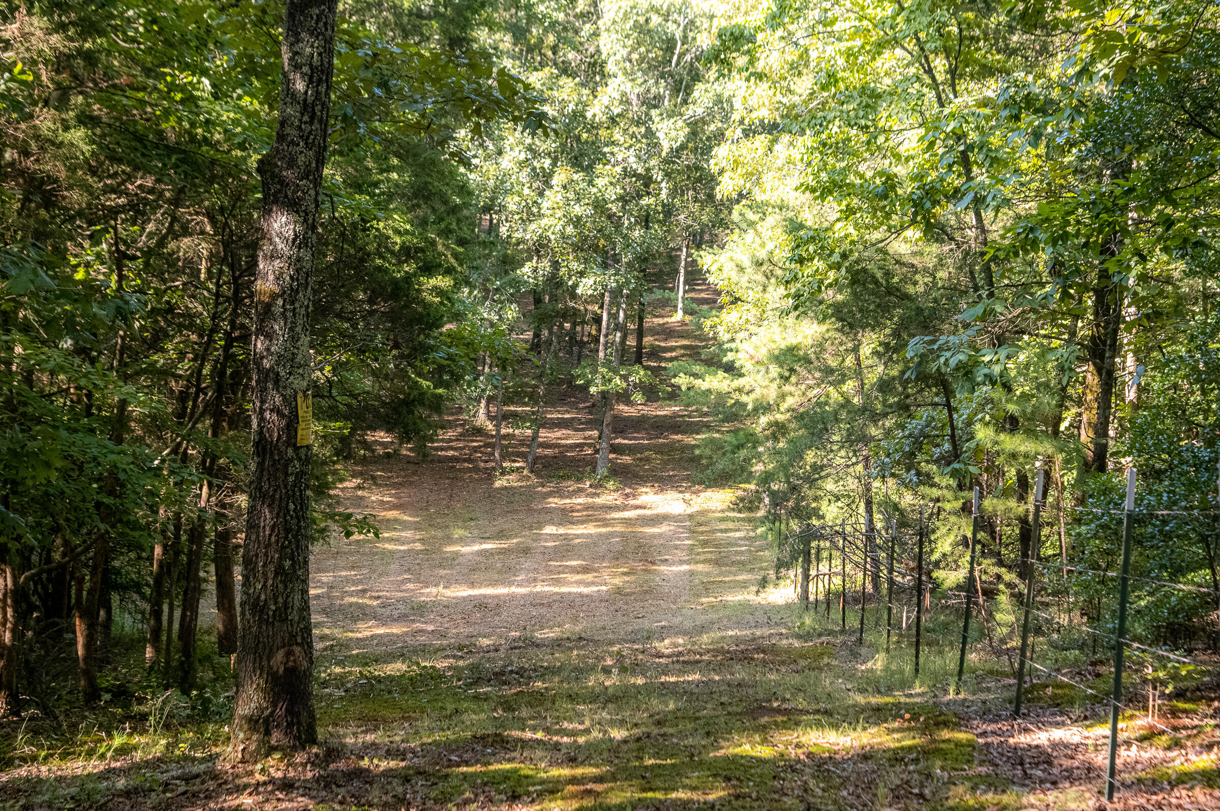 12814 Cranfield Road, Birchwood, Tennessee image 18