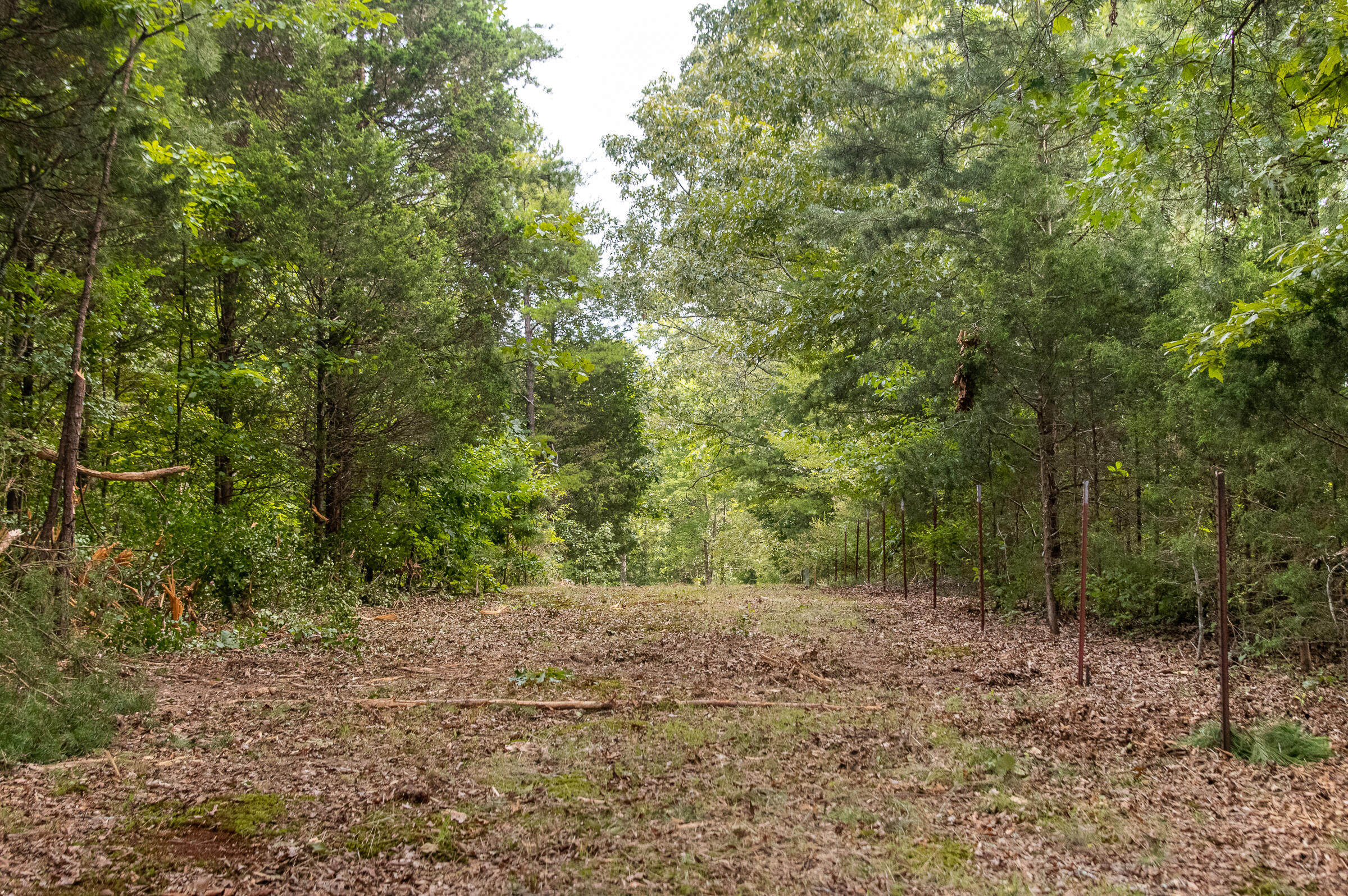 12814 Cranfield Road, Birchwood, Tennessee image 32