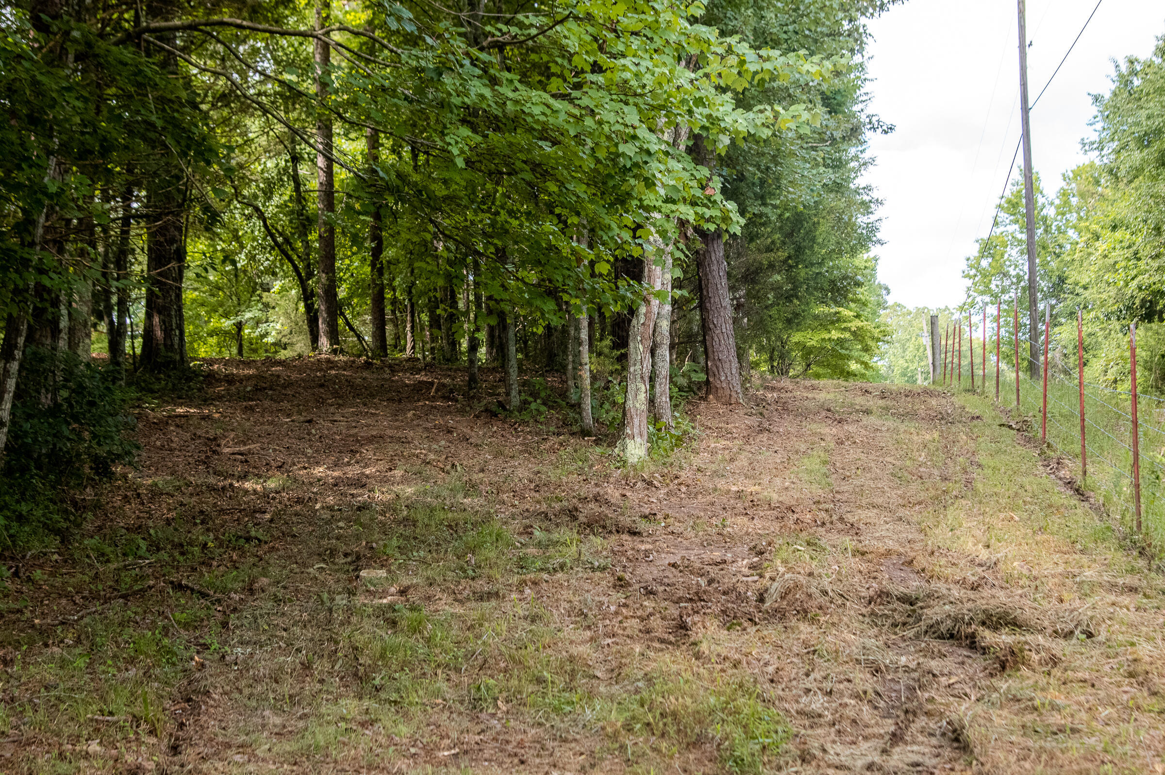 12814 Cranfield Road, Birchwood, Tennessee image 42