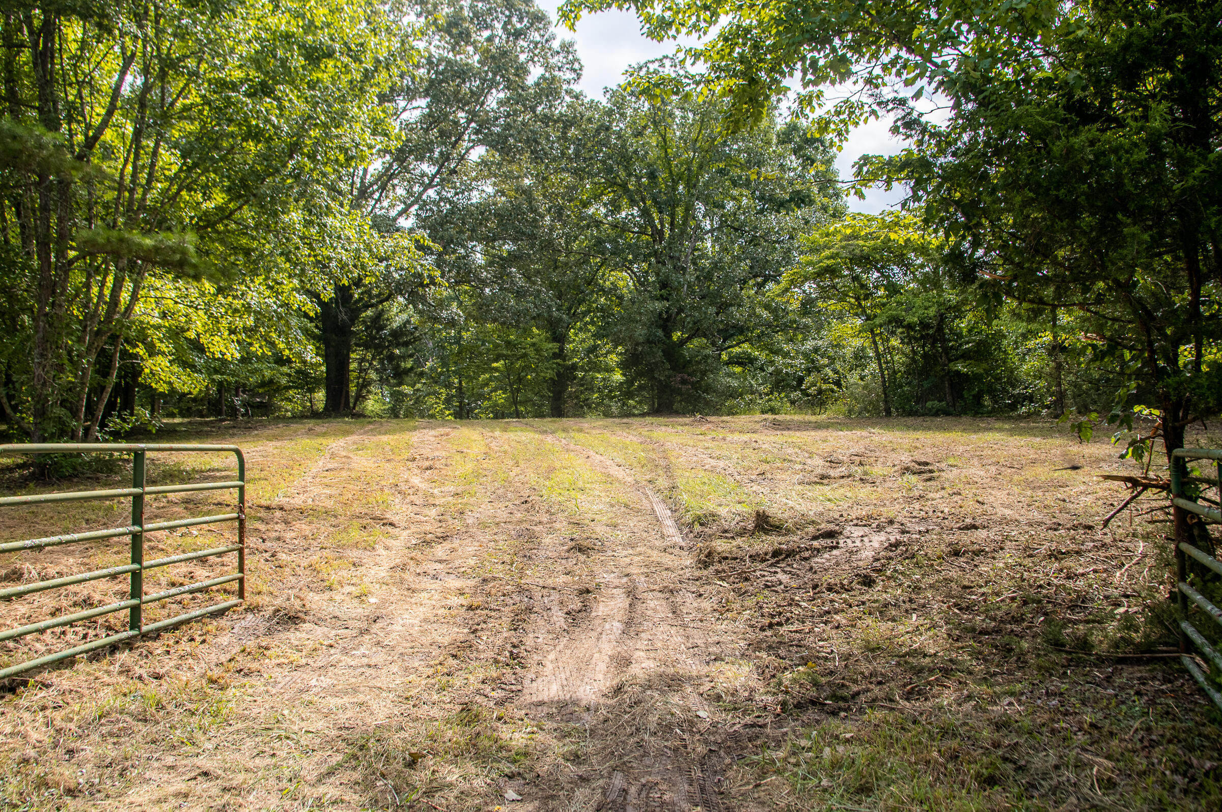 12814 Cranfield Road, Birchwood, Tennessee image 48