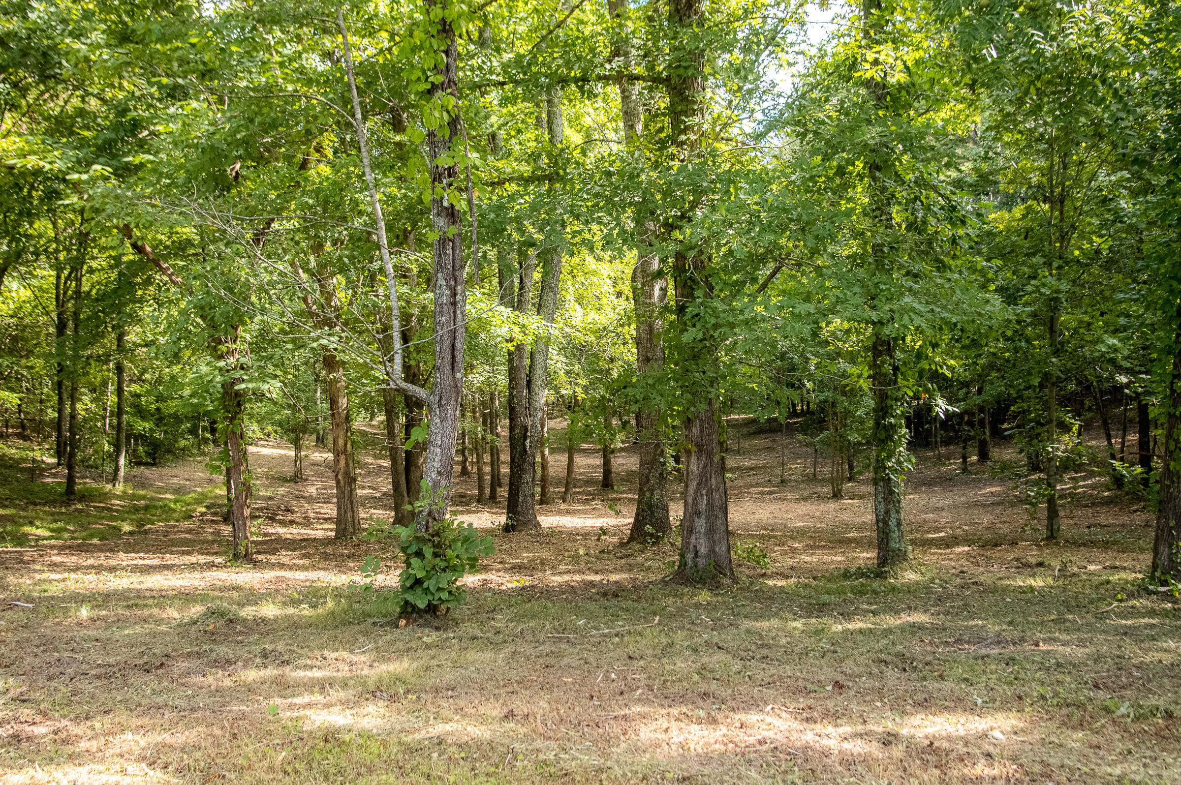 12814 Cranfield Road, Birchwood, Tennessee image 23