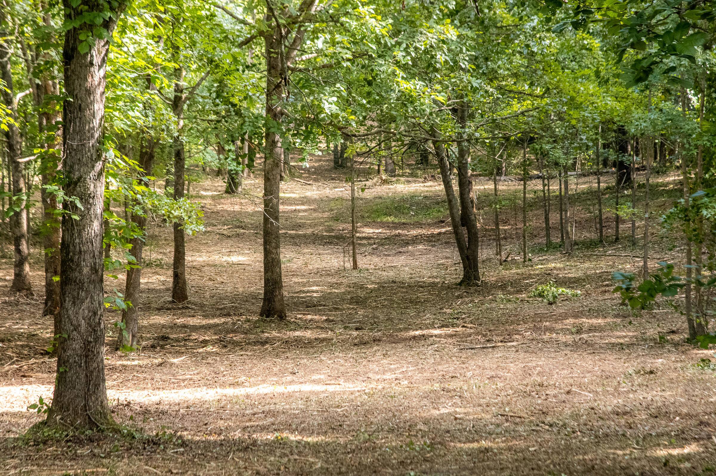 12814 Cranfield Road, Birchwood, Tennessee image 24