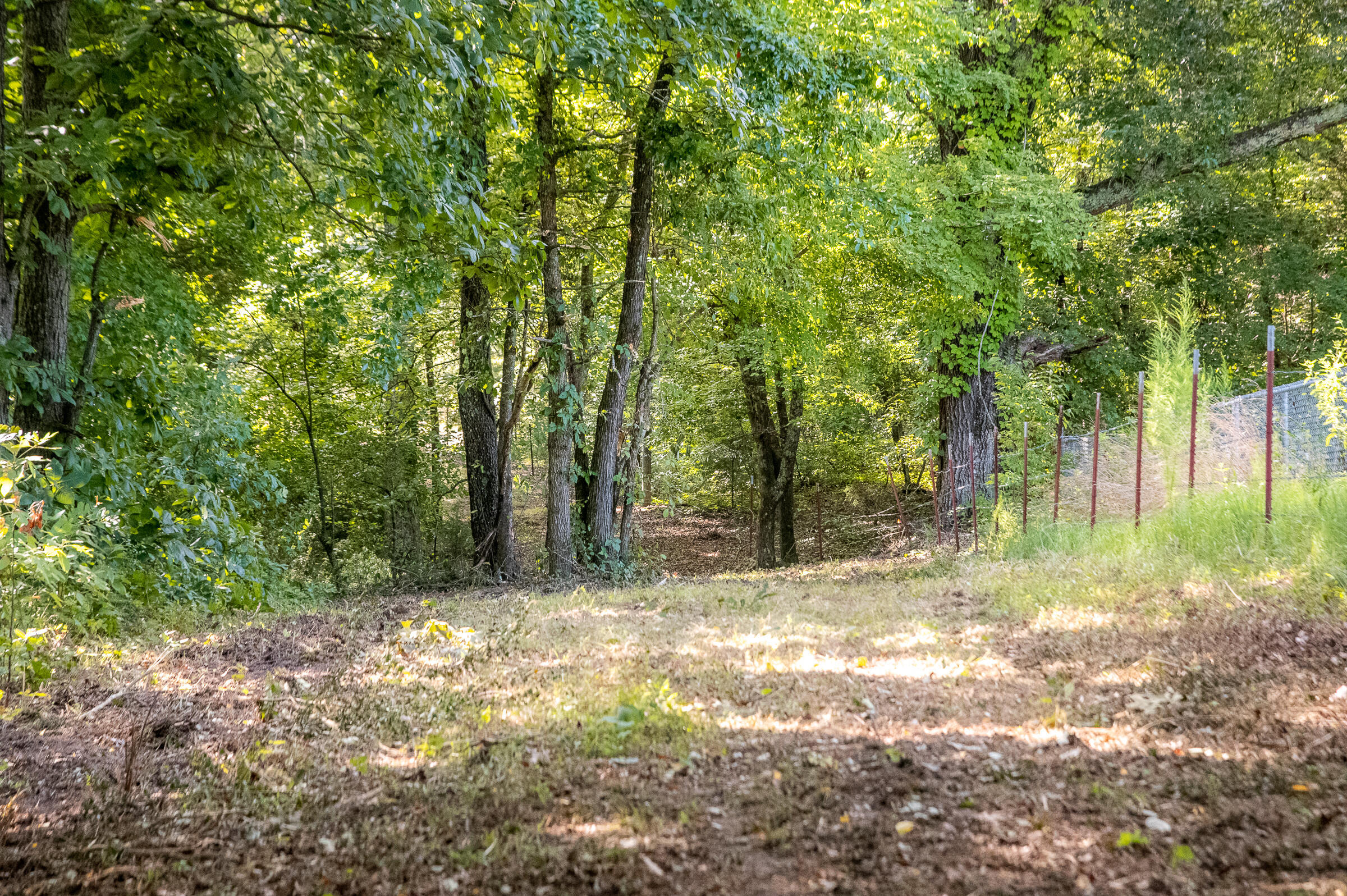 12814 Cranfield Road, Birchwood, Tennessee image 2
