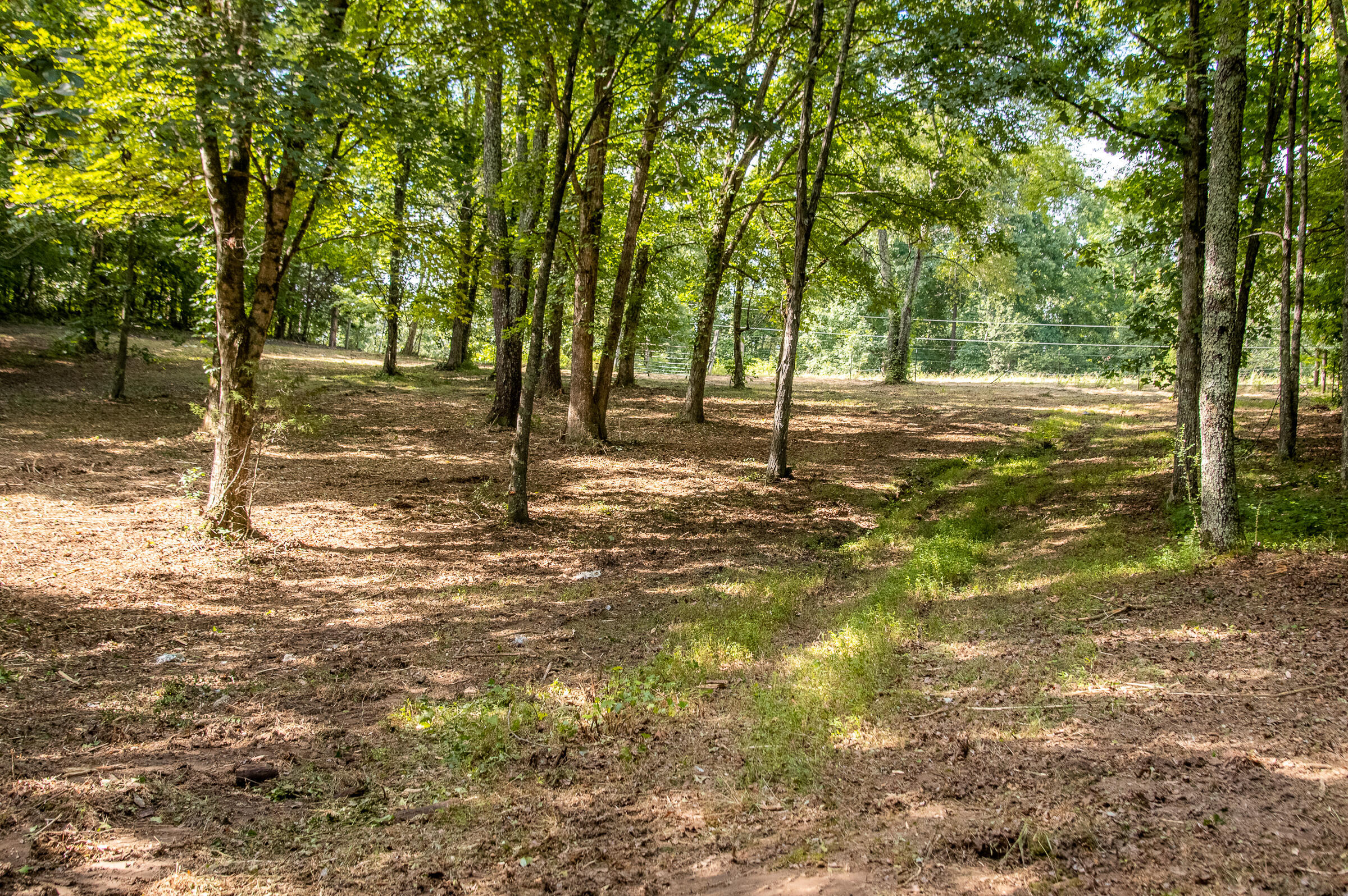 12814 Cranfield Road, Birchwood, Tennessee image 22