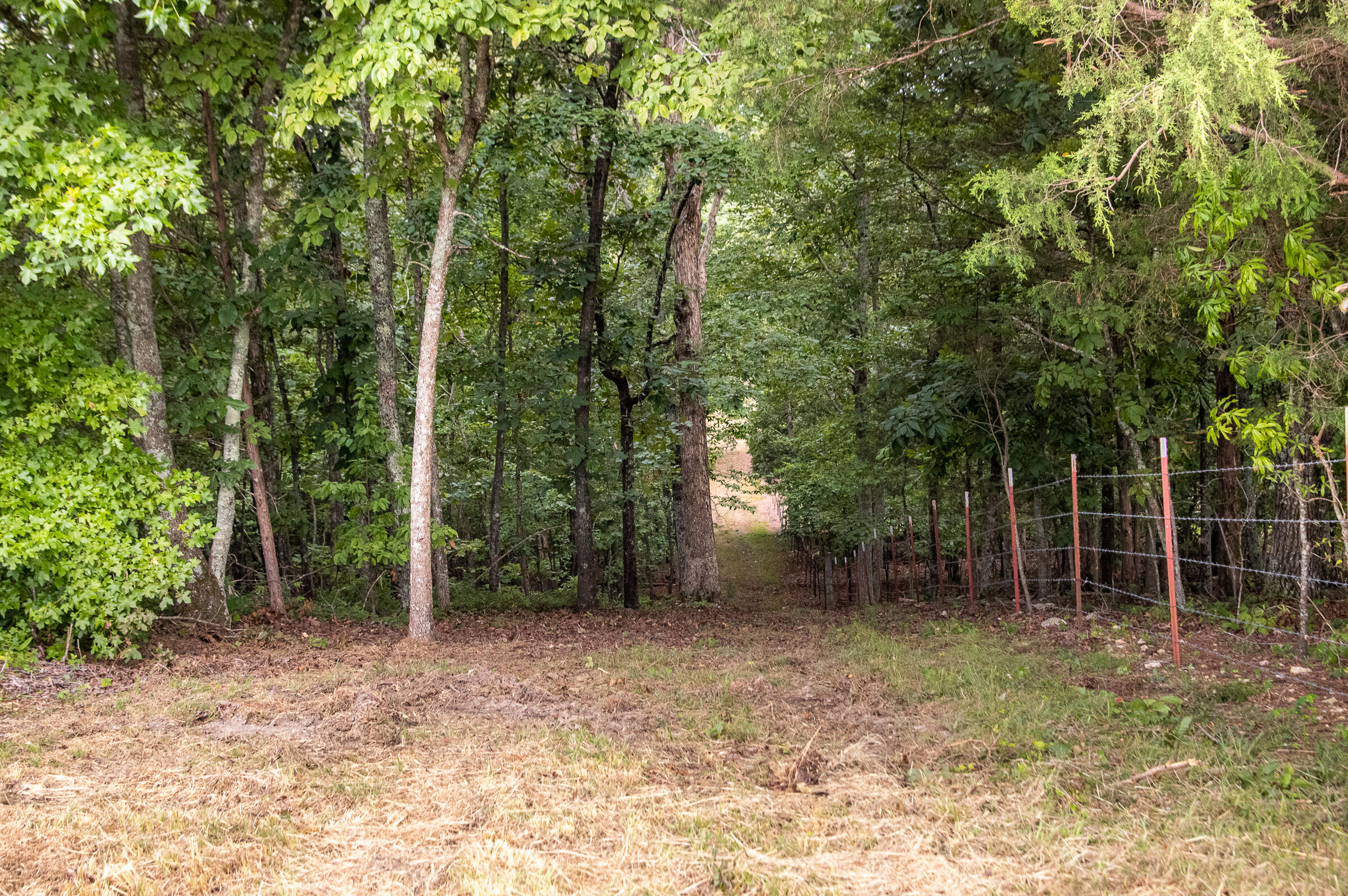 12814 Cranfield Road, Birchwood, Tennessee image 37