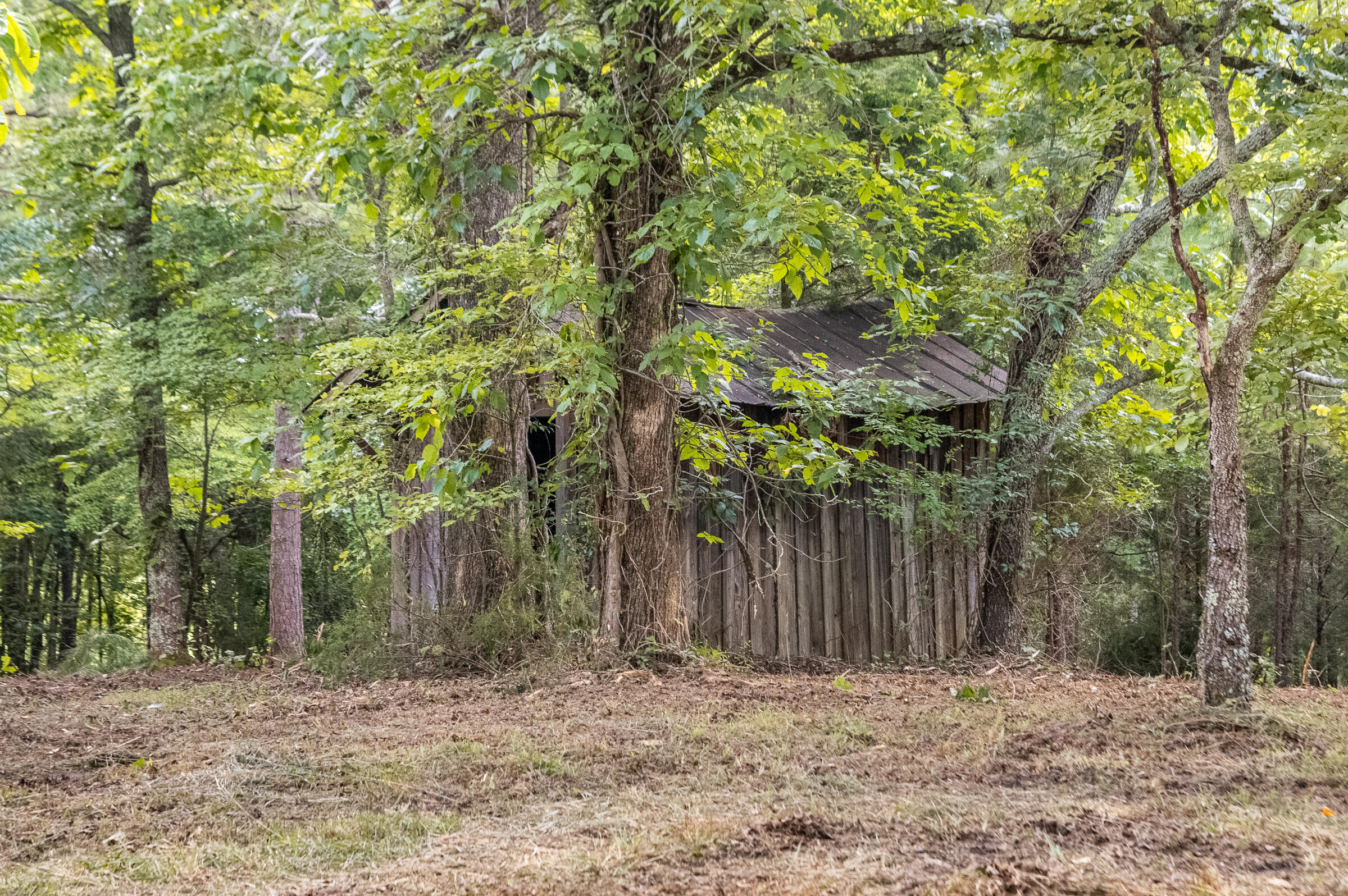 12814 Cranfield Road, Birchwood, Tennessee image 44