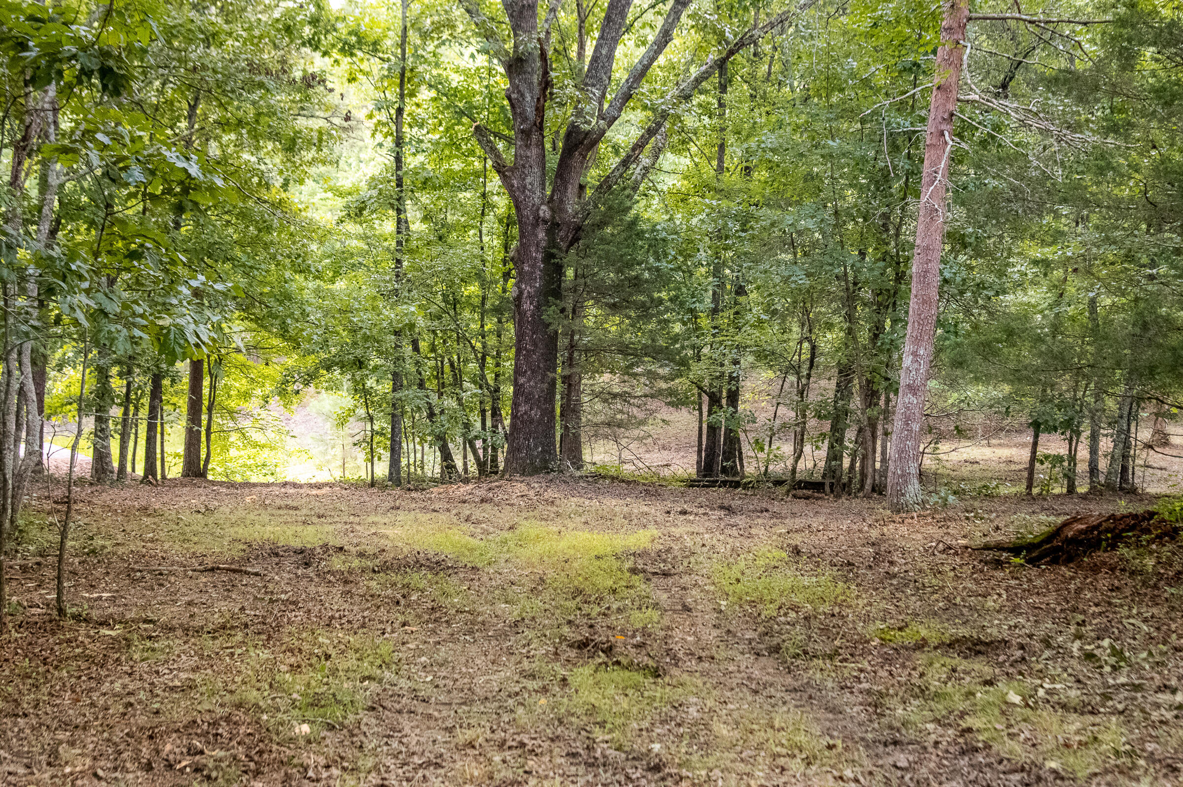 12814 Cranfield Road, Birchwood, Tennessee image 47