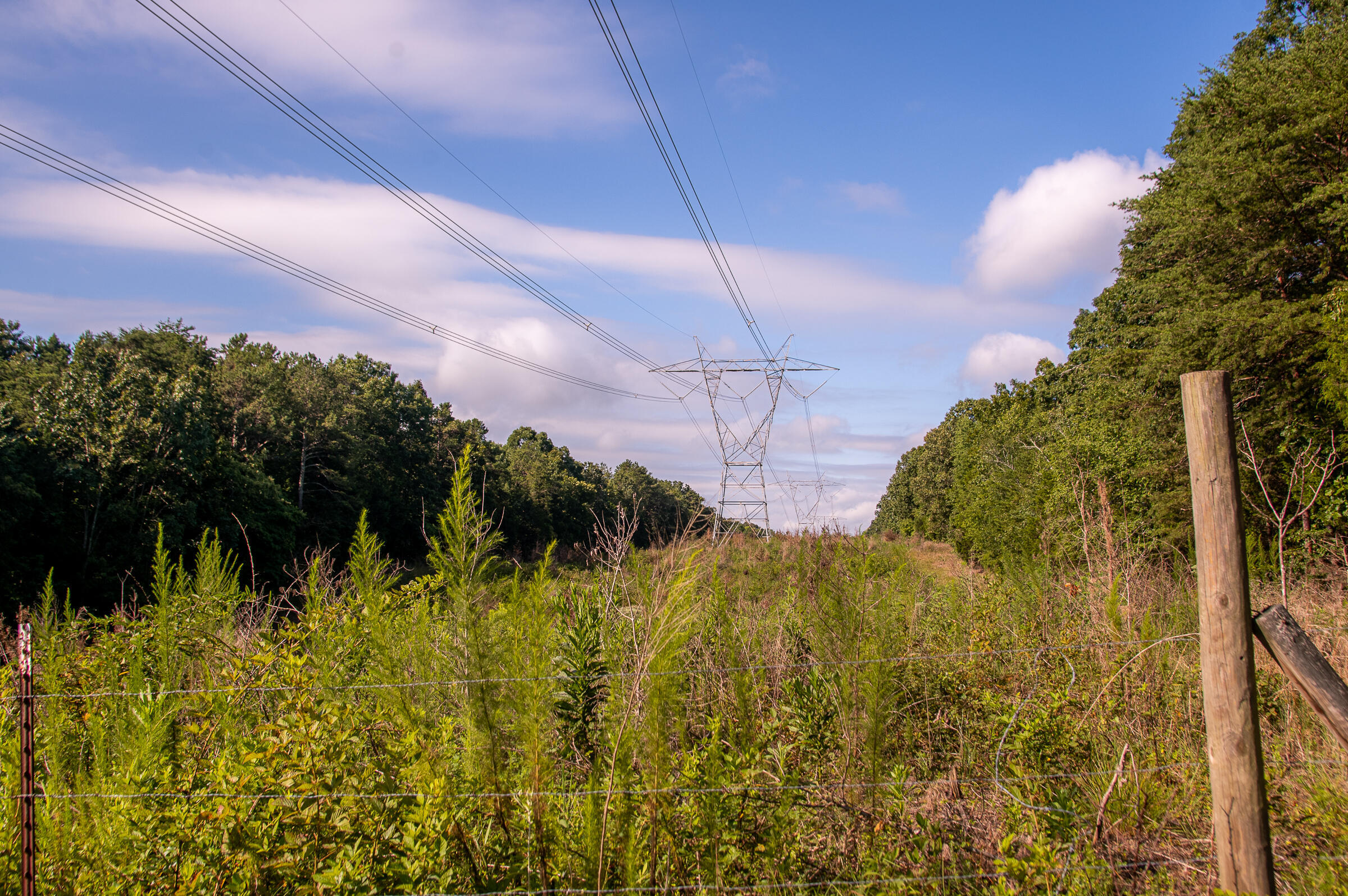 12814 Cranfield Road, Birchwood, Tennessee image 12