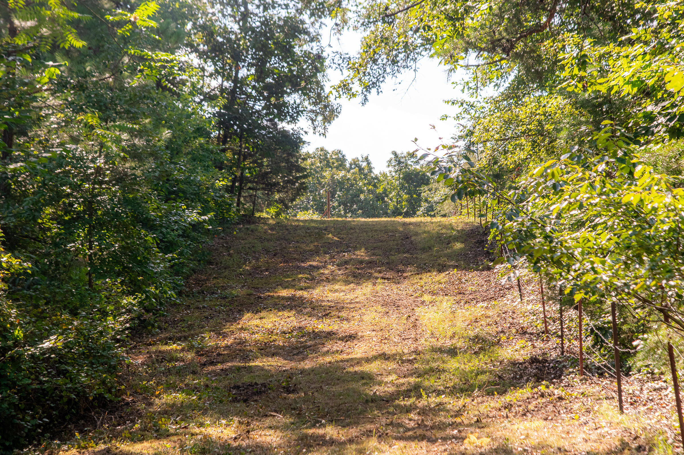 12814 Cranfield Road, Birchwood, Tennessee image 10