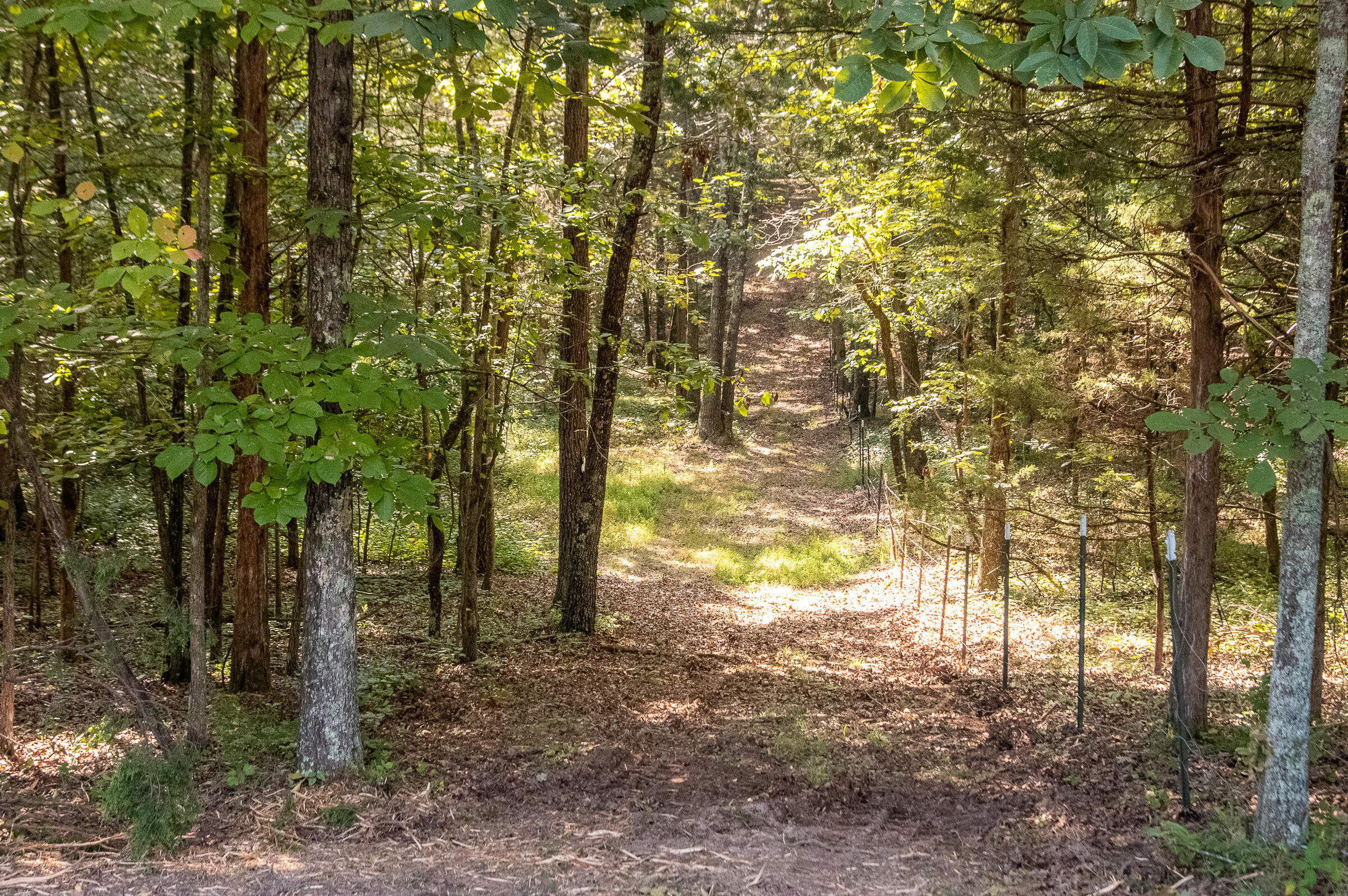 12814 Cranfield Road, Birchwood, Tennessee image 15
