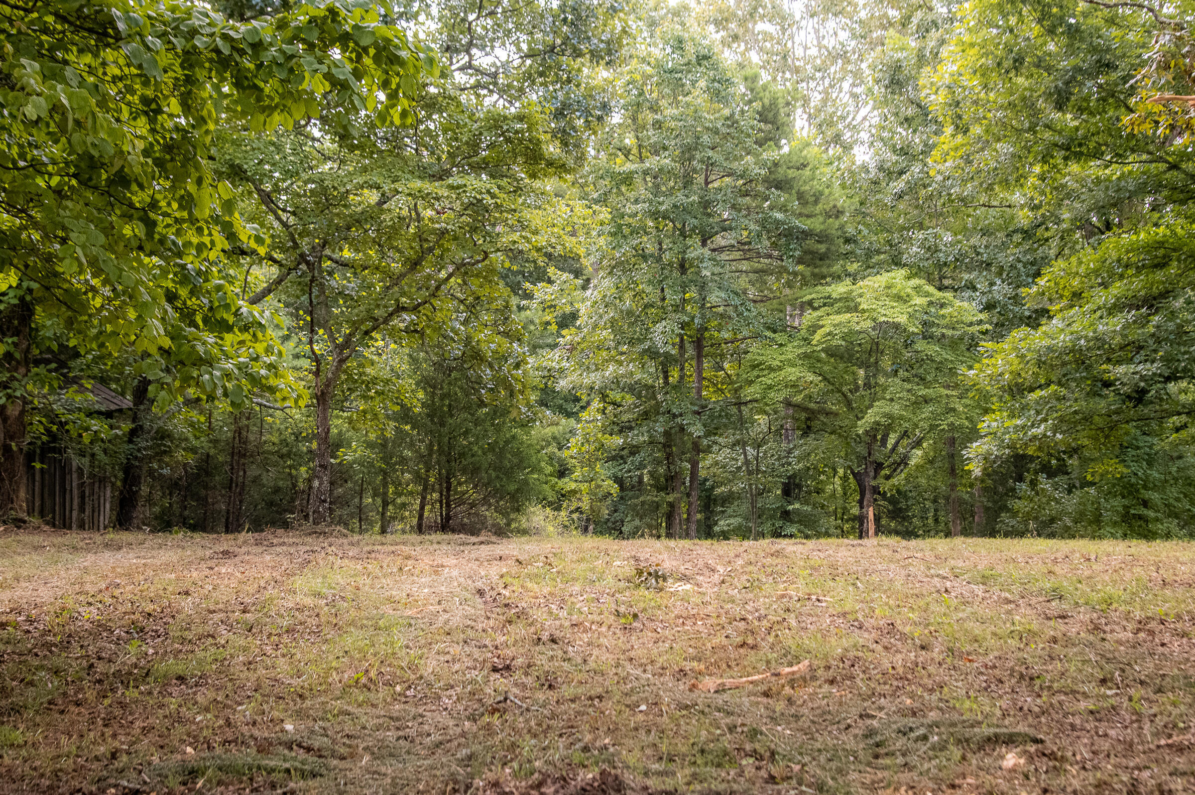 12814 Cranfield Road, Birchwood, Tennessee image 43