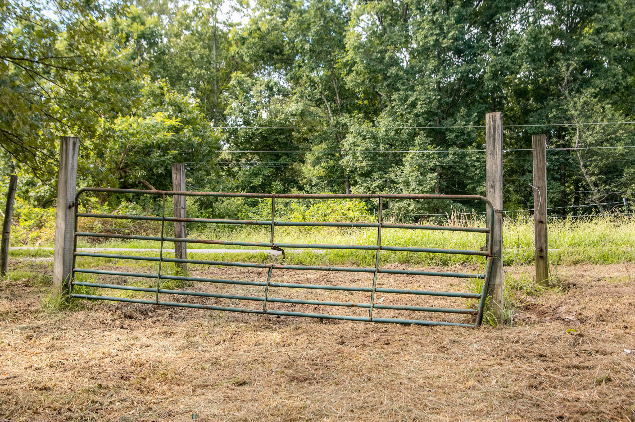 12814 Cranfield Road, Birchwood, Tennessee image 25