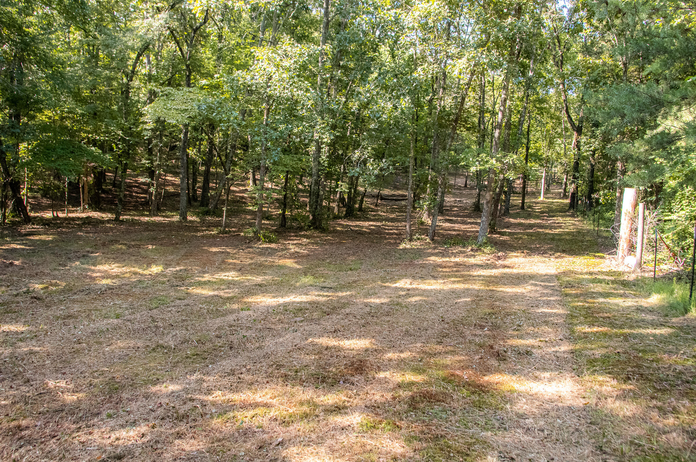 12814 Cranfield Road, Birchwood, Tennessee image 19