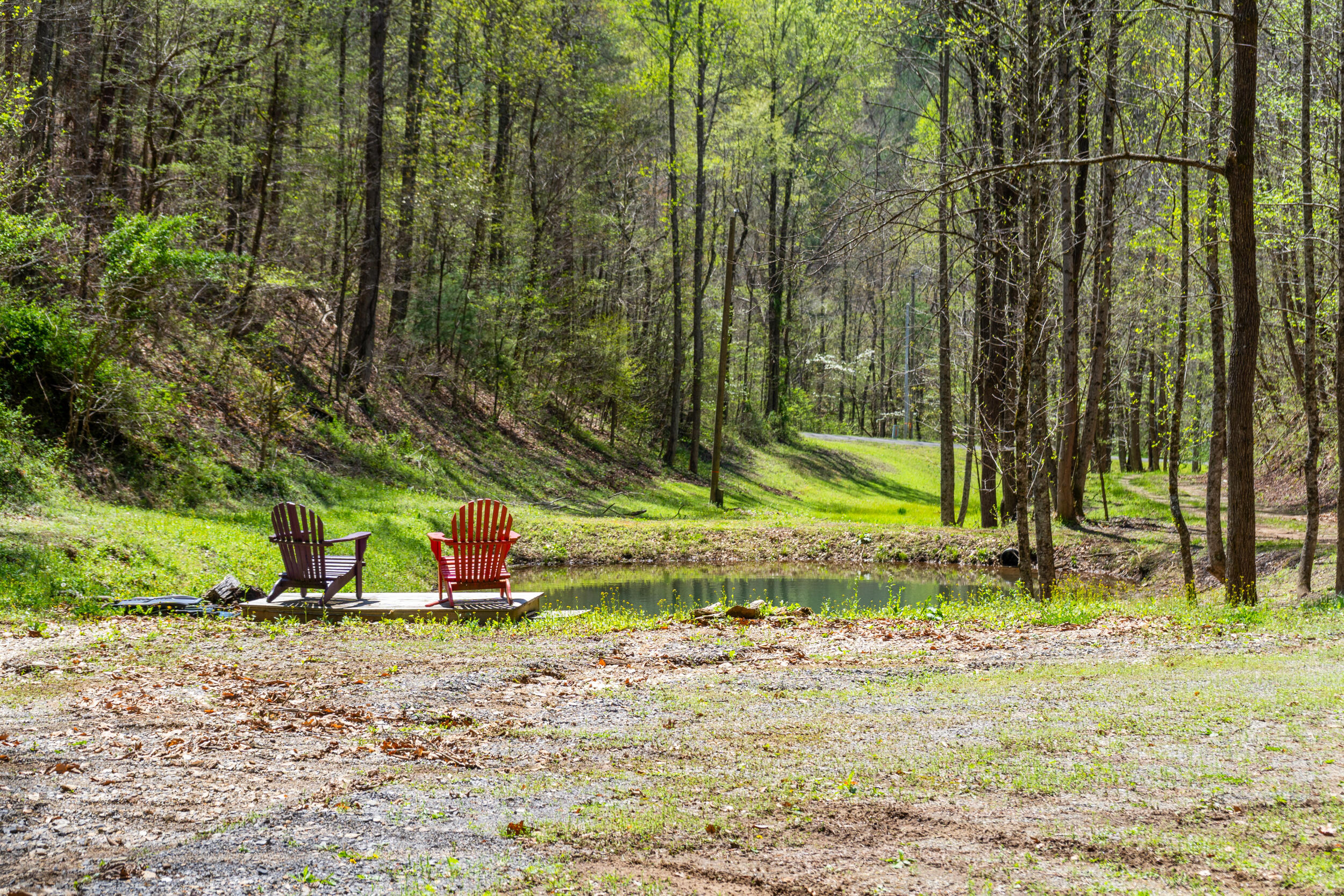 677 Kimsey Mountain Highway, Reliance, Tennessee image 4