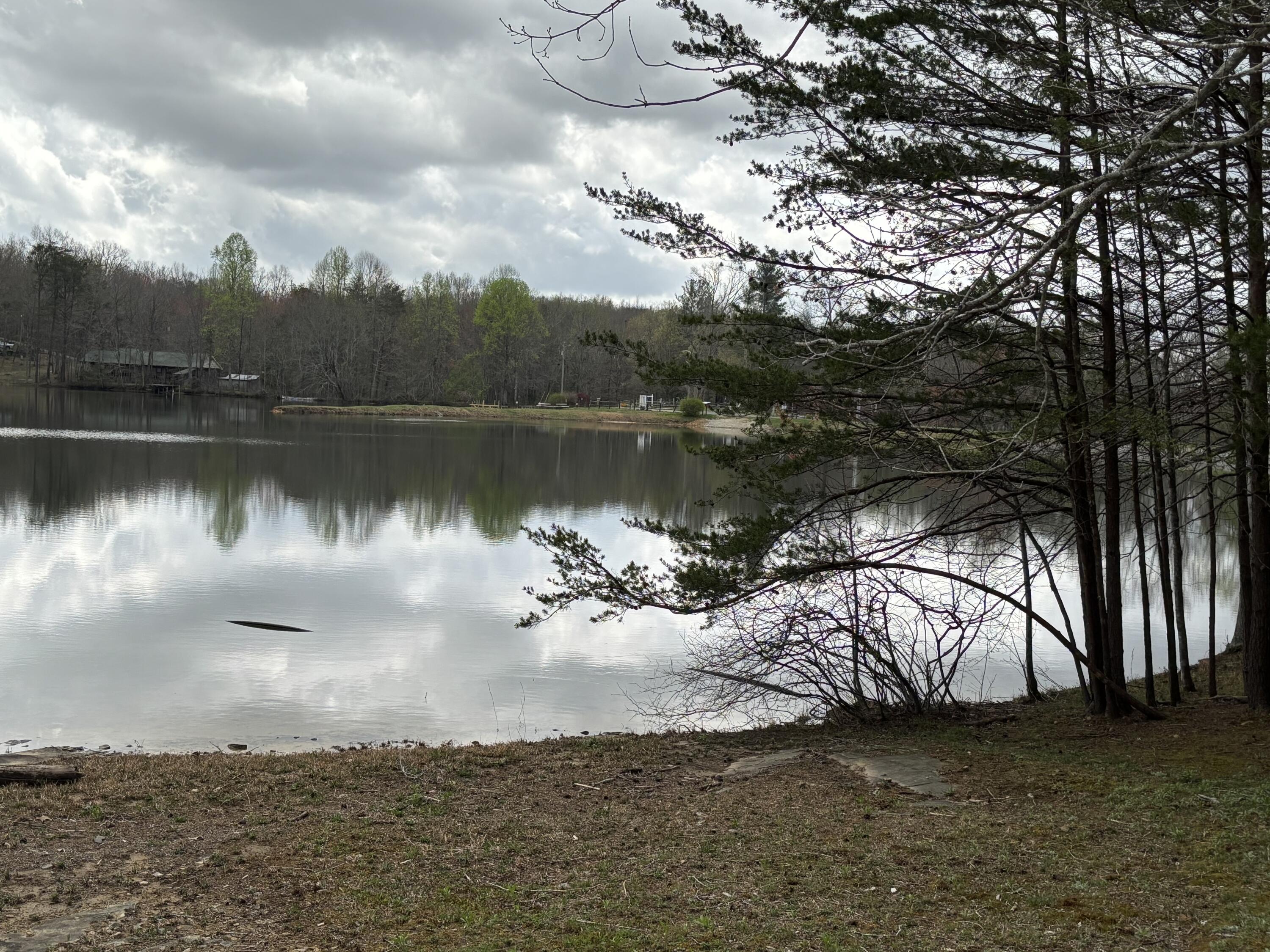 185 Lake Shore Dr Drive, Pikeville, Tennessee image 4