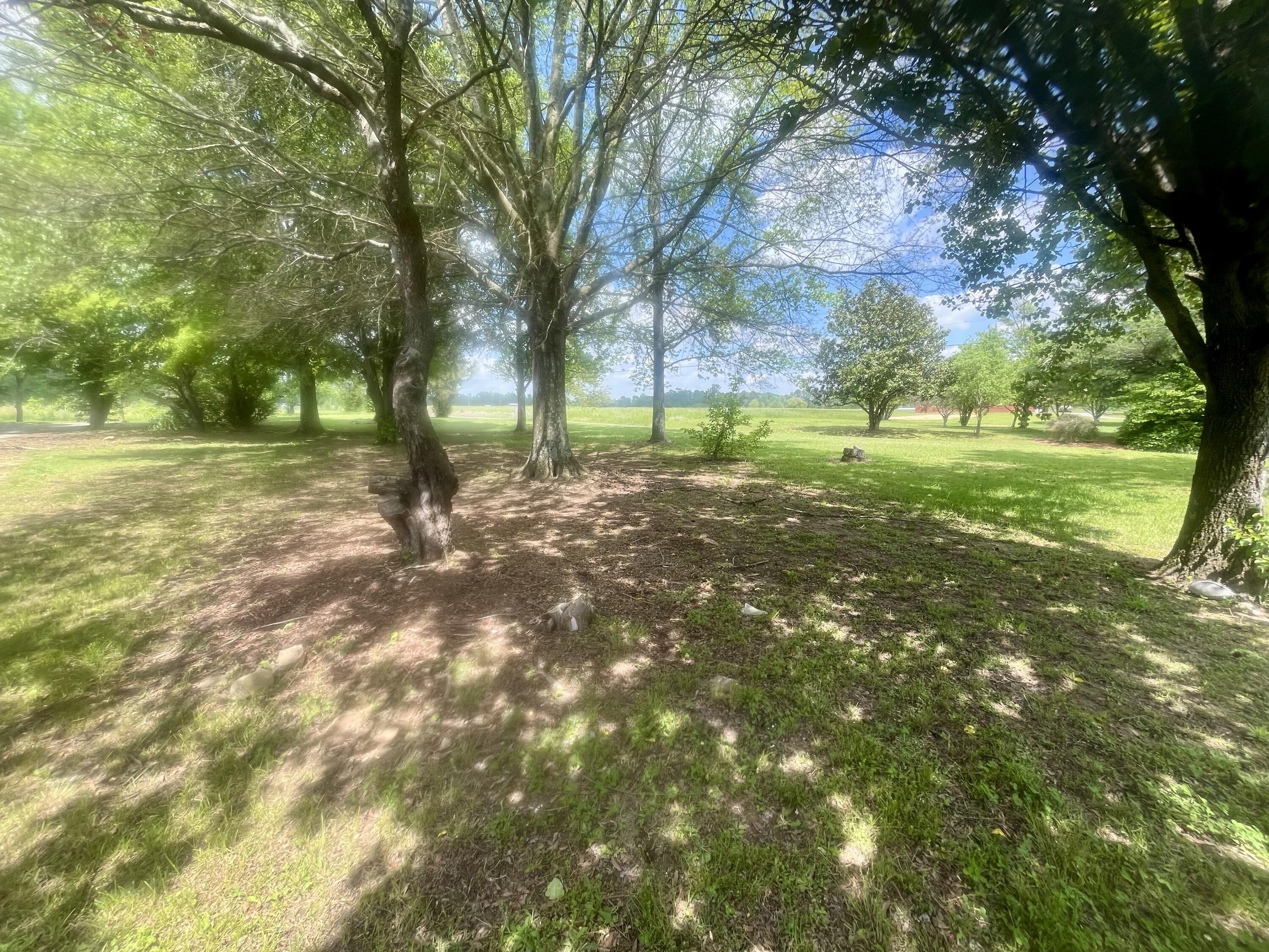2421 County Road 151, Henagar, Alabama image 1