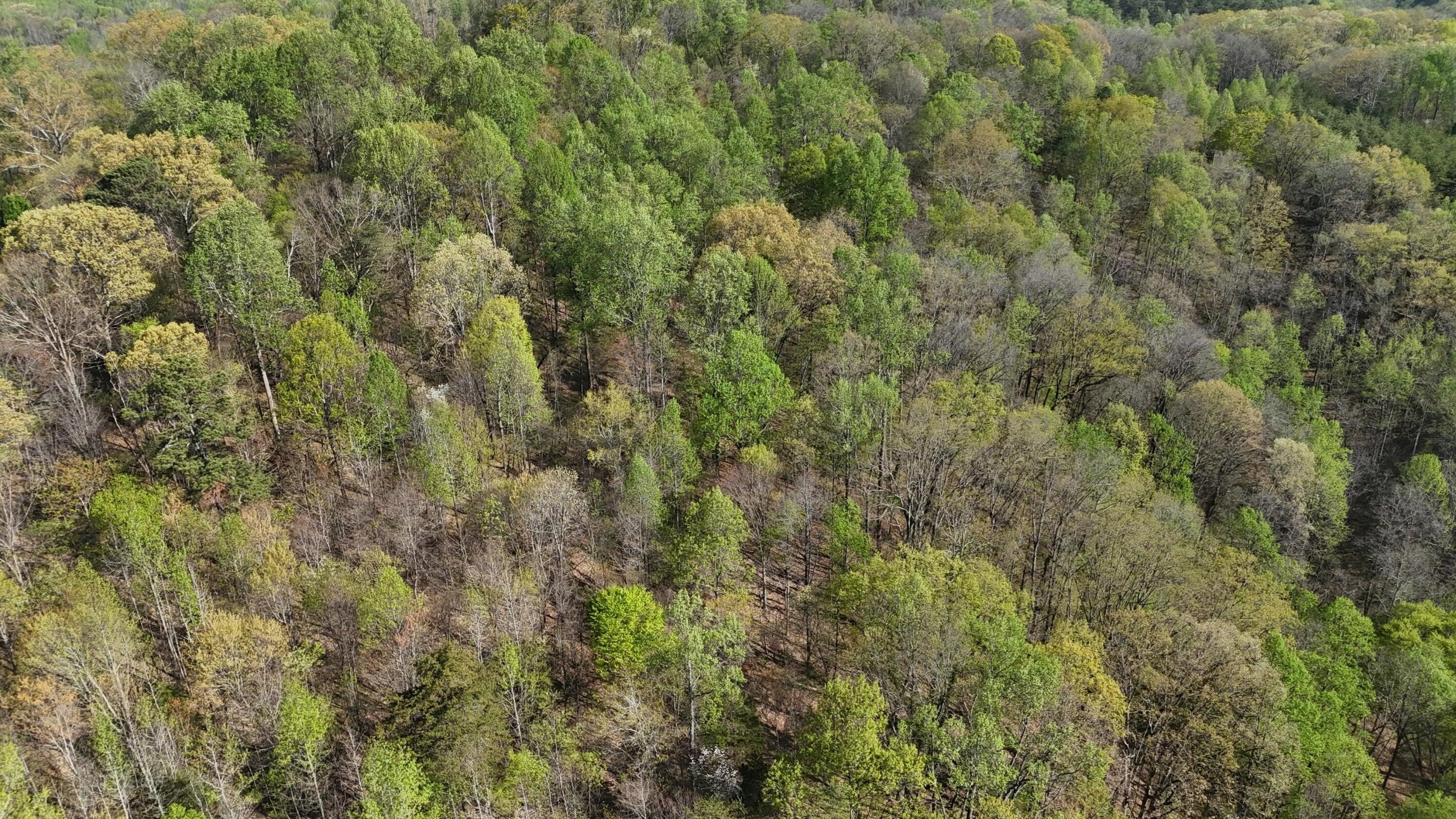 0000 County Road 675, Athens, Tennessee image 7