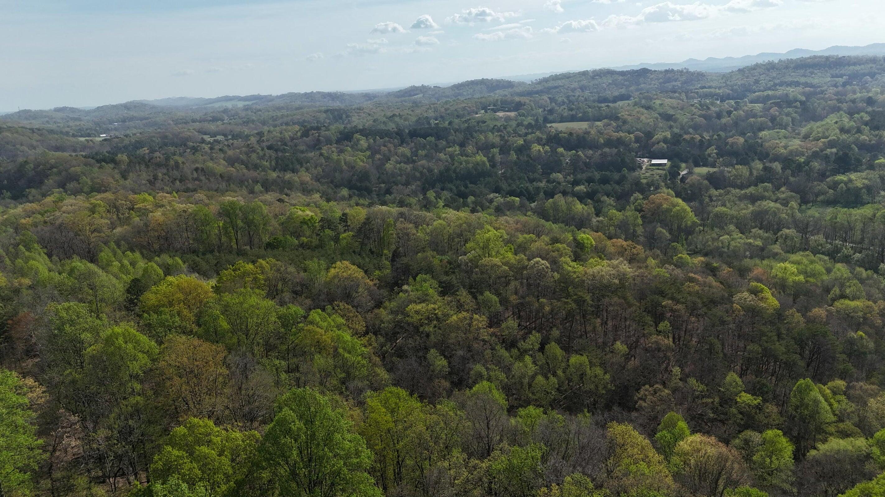 0000 County Road 675, Athens, Tennessee image 10