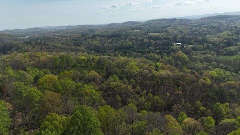 Tiny photo for 0000 County Road 675, Athens, TN 37303 (MLS # 1510972)