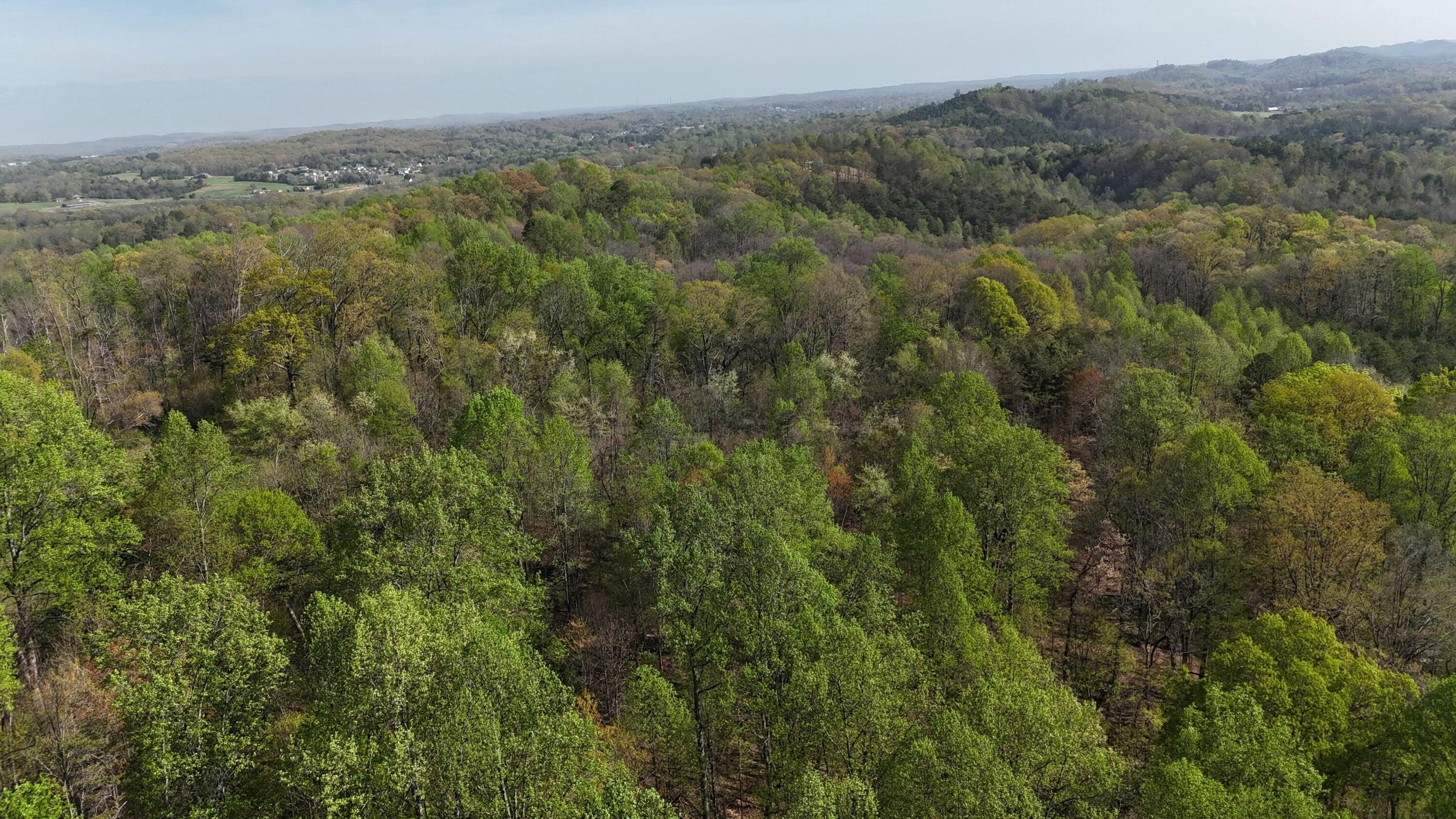 0000 County Road 675, Athens, Tennessee image 9