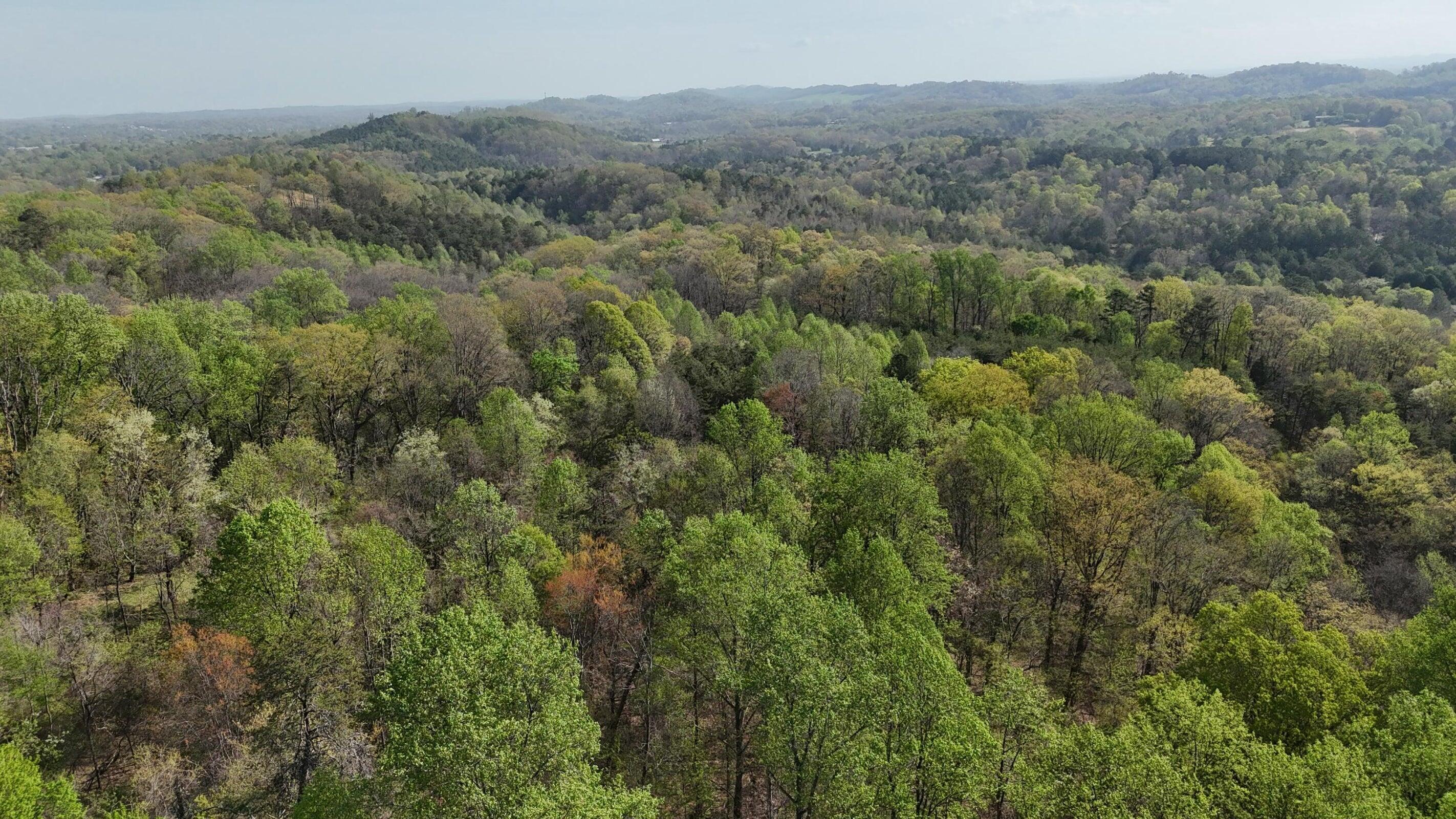 0000 County Road 675, Athens, Tennessee image 14
