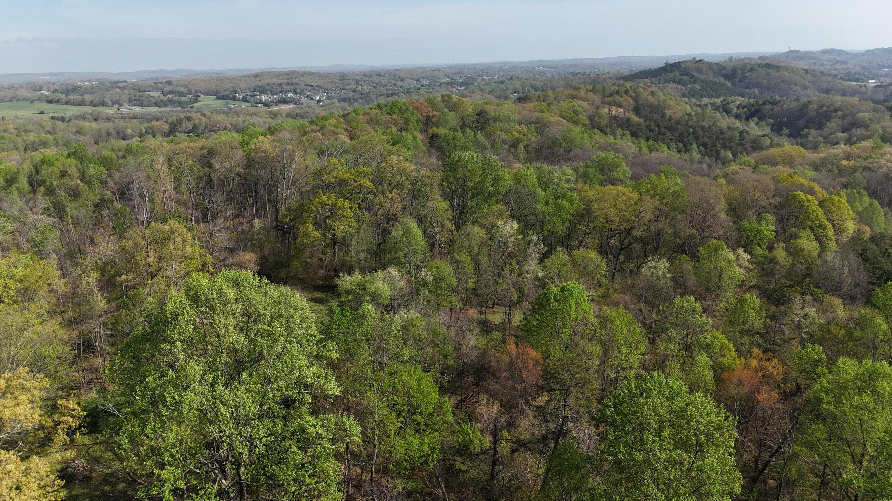 0000 County Road 675, Athens, Tennessee image 13