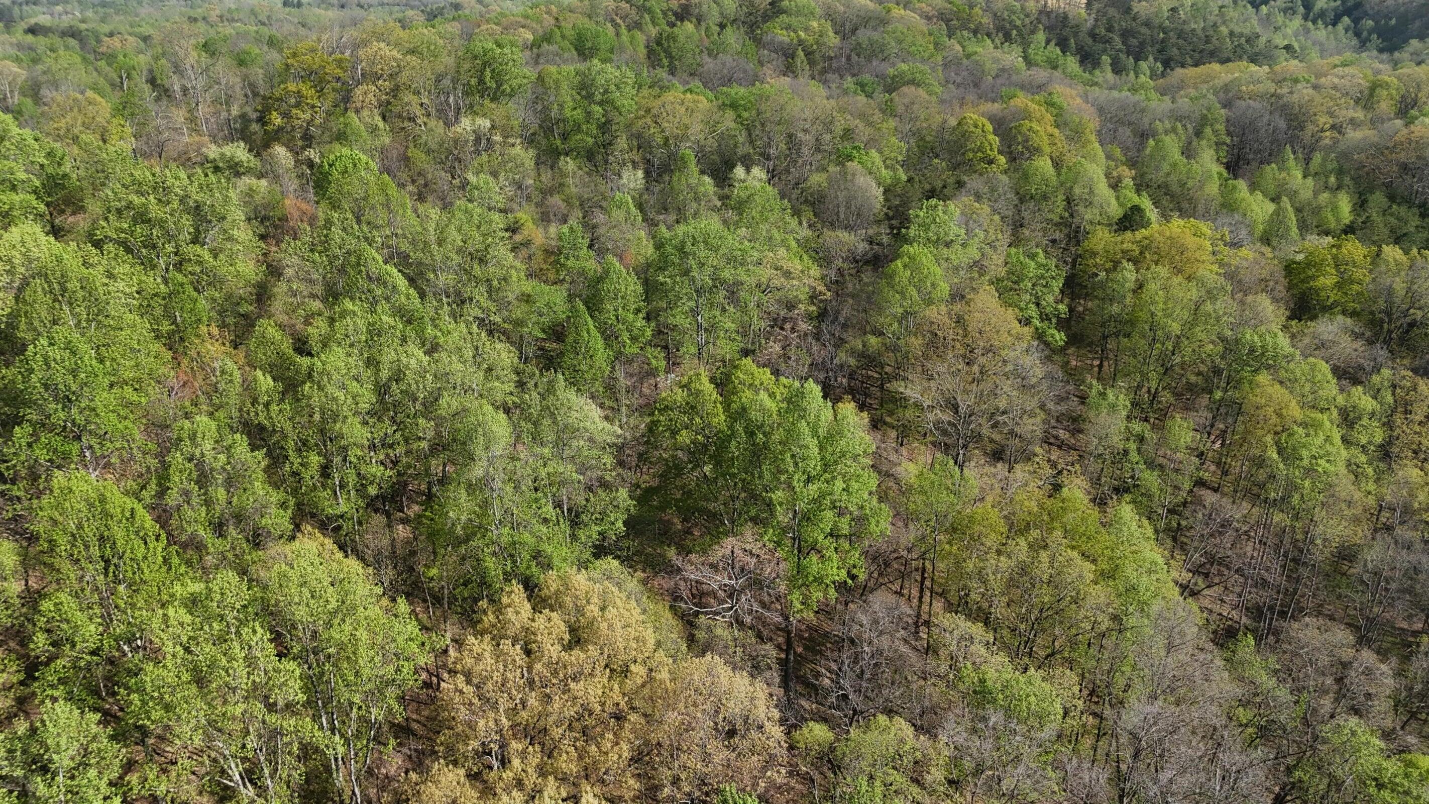 0000 County Road 675, Athens, Tennessee image 8