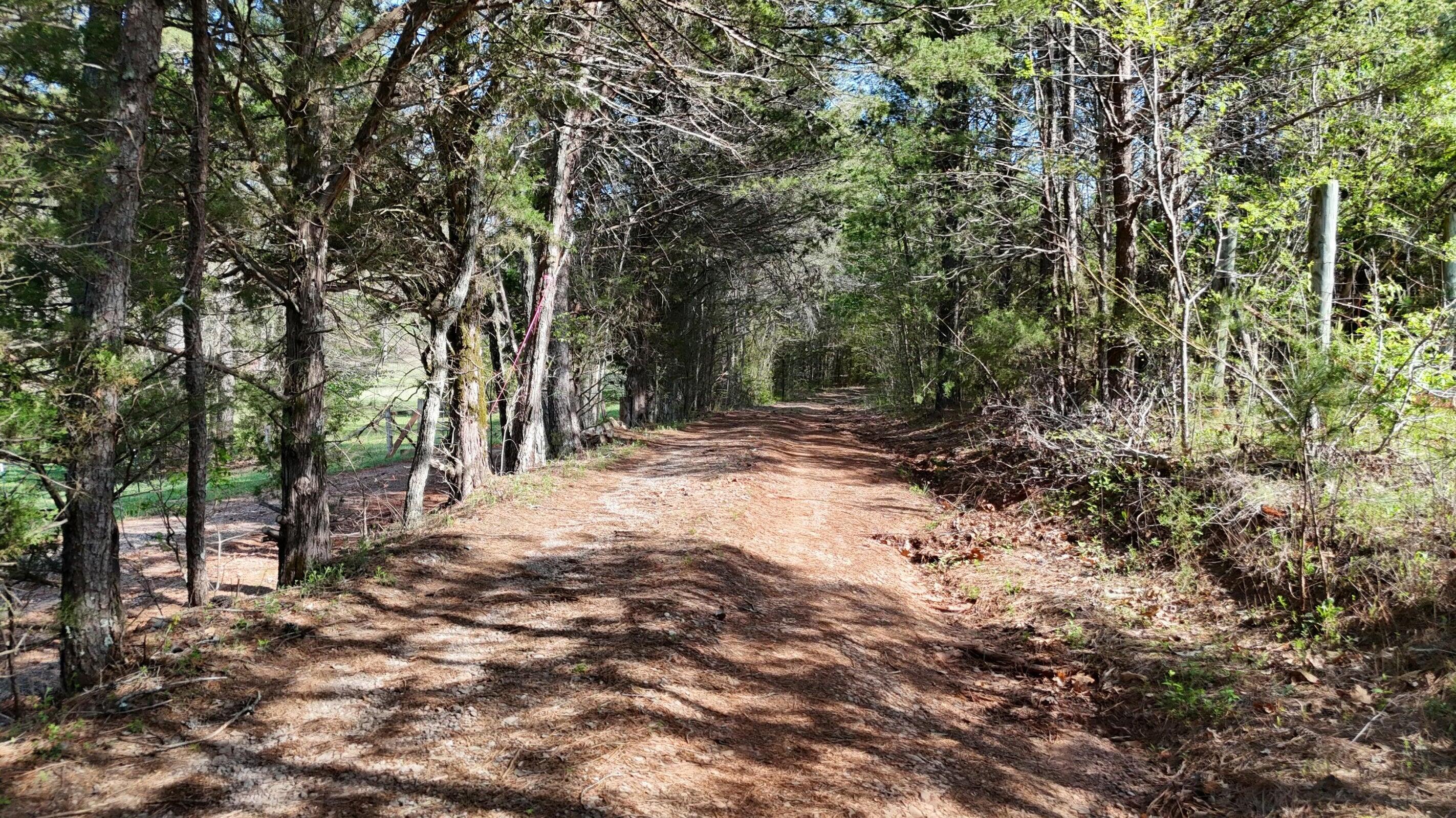 0000 County Road 675, Athens, Tennessee image 16