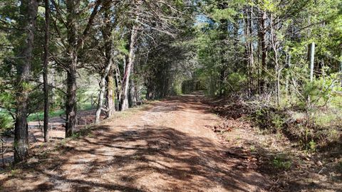 Tiny photo for 0000 County Road 675, Athens, TN 37303 (MLS # 1510972)