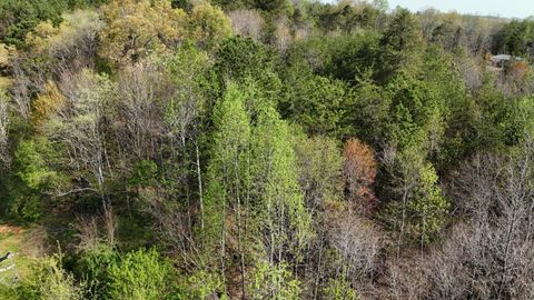 Tiny photo for 0000 County Road 675, Athens, TN 37303 (MLS # 1510972)
