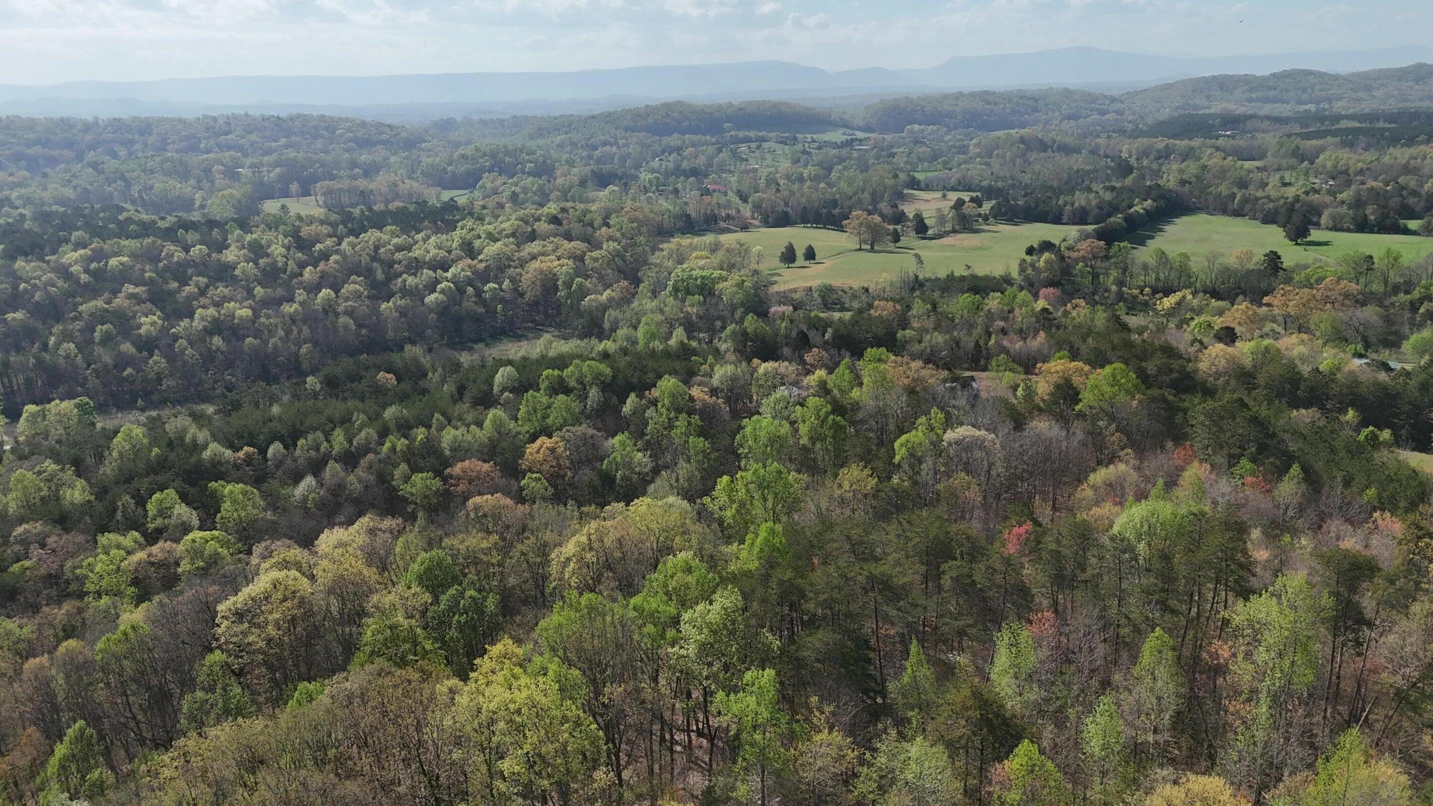 0000 County Road 675, Athens, Tennessee image 11