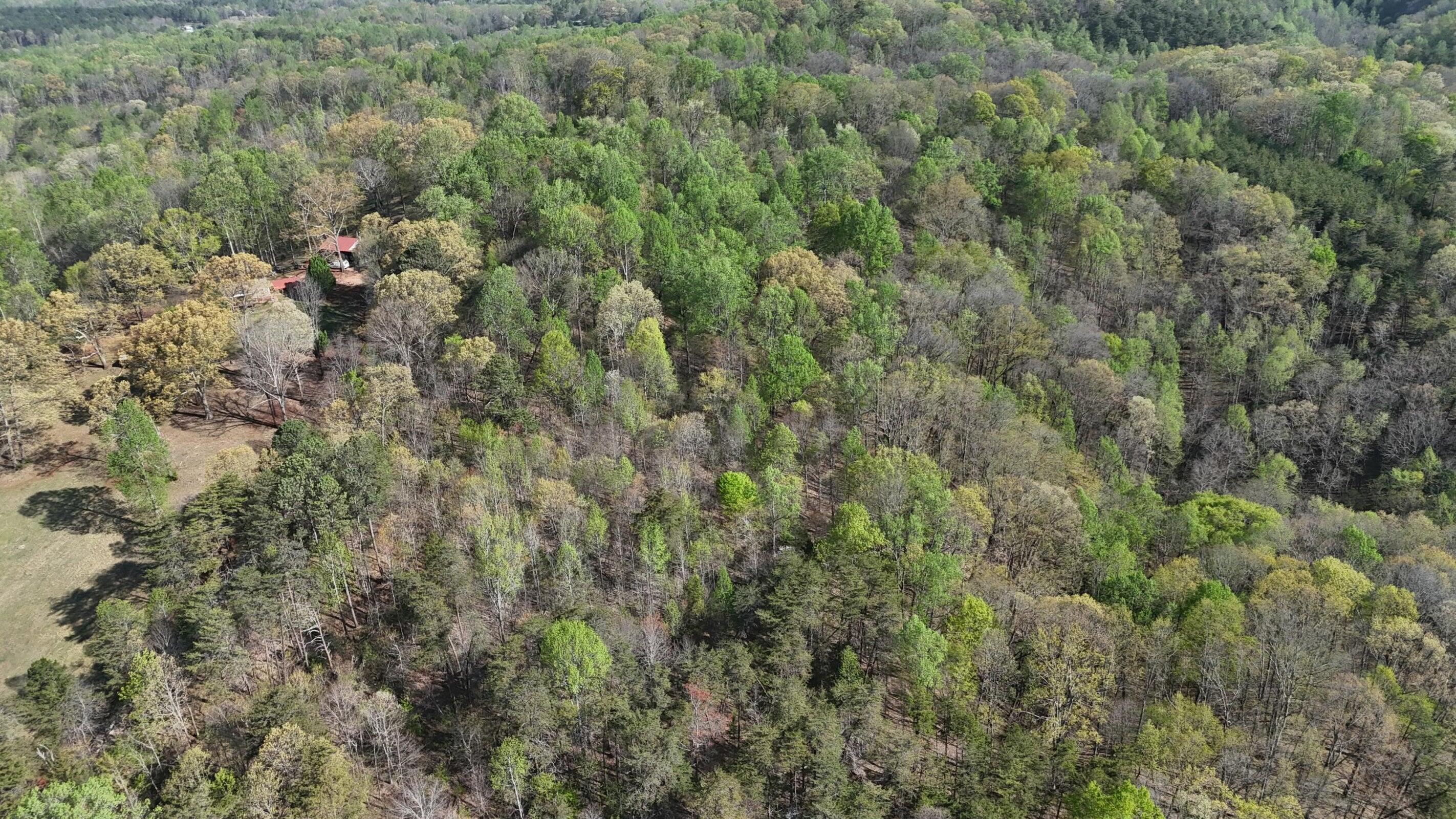 0000 County Road 675, Athens, Tennessee image 5