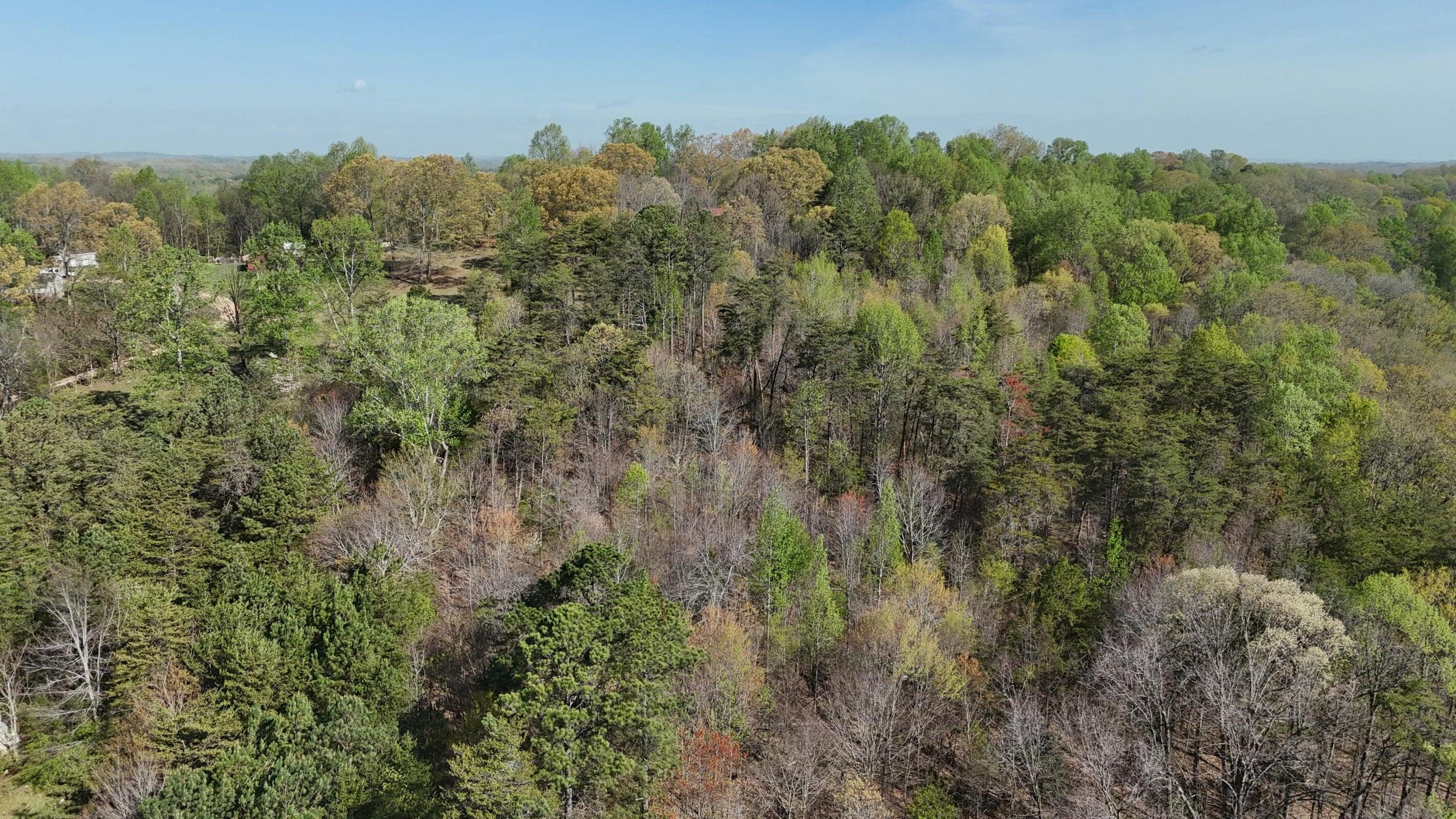 0000 County Road 675, Athens, Tennessee image 4