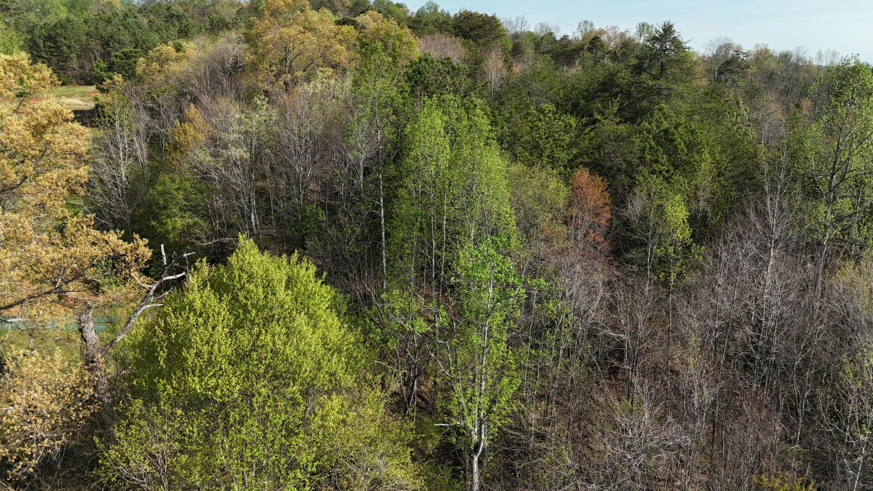0000 County Road 675, Athens, Tennessee image 1