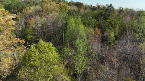 Photo of 0000 County Road 675, Athens, TN 37303 (MLS # 1510972)