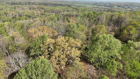 Tiny photo for 0000 County Road 675, Athens, TN 37303 (MLS # 1510972)