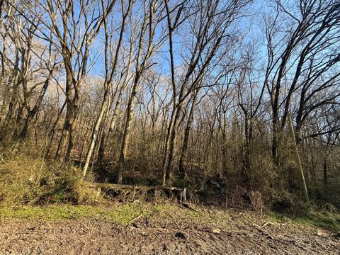 Vacant Land For Sale - County Rd 91<br/> Bryant, AL 35958
