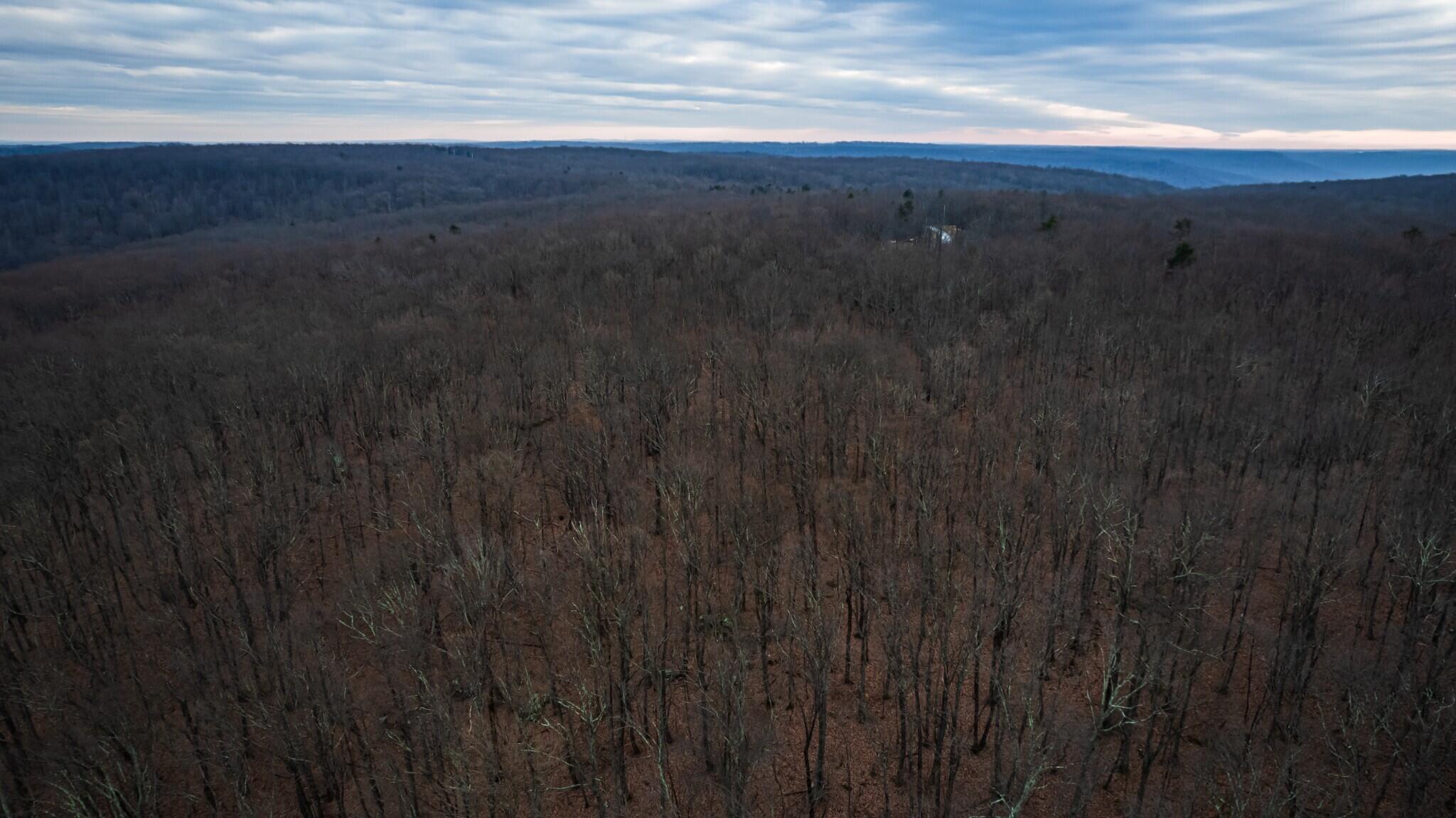 26 Higgenbottom Turnpike #26, Altamont, Tennessee image 4