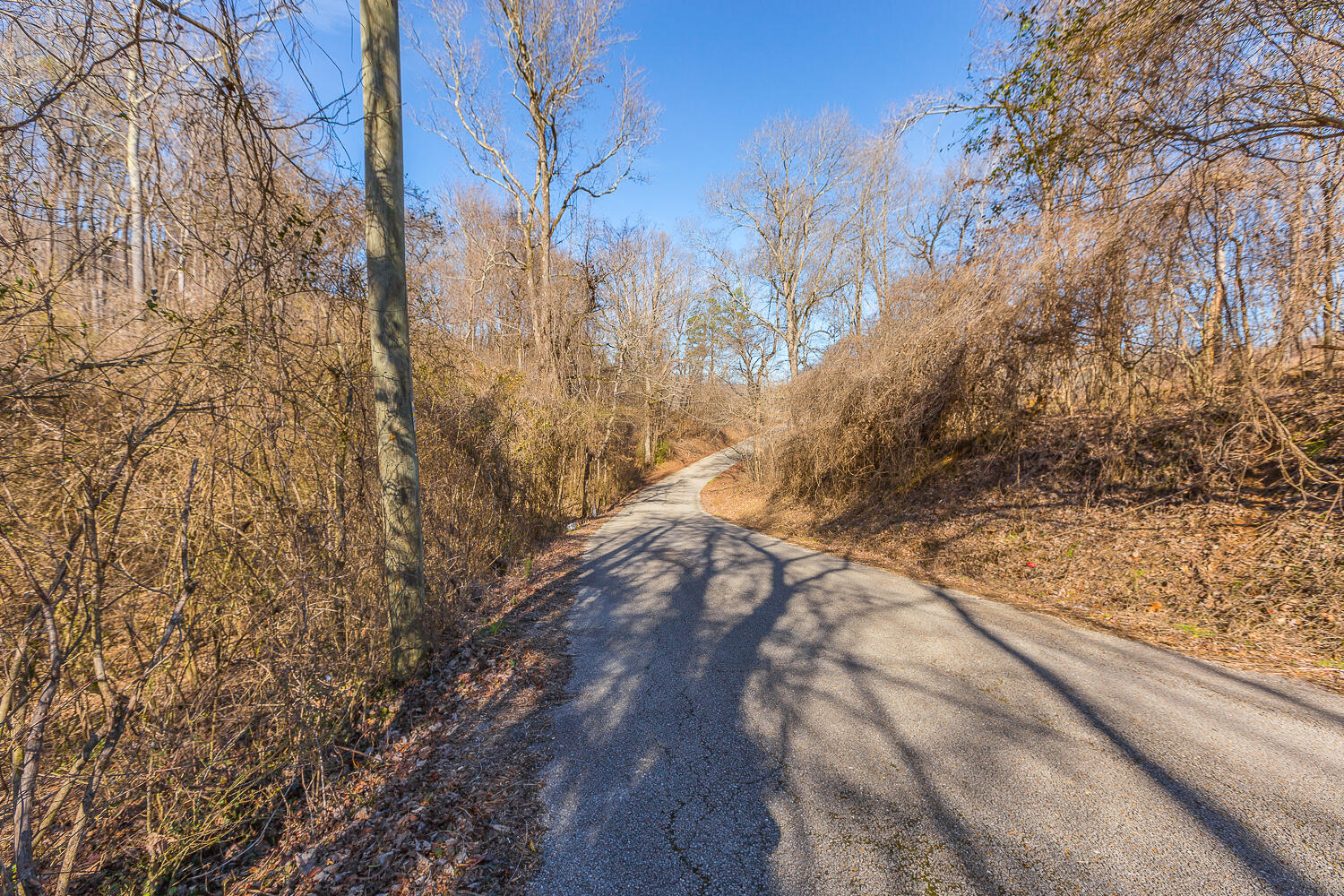 5411 Brown Chapel Lane, Chattanooga, Tennessee image 7