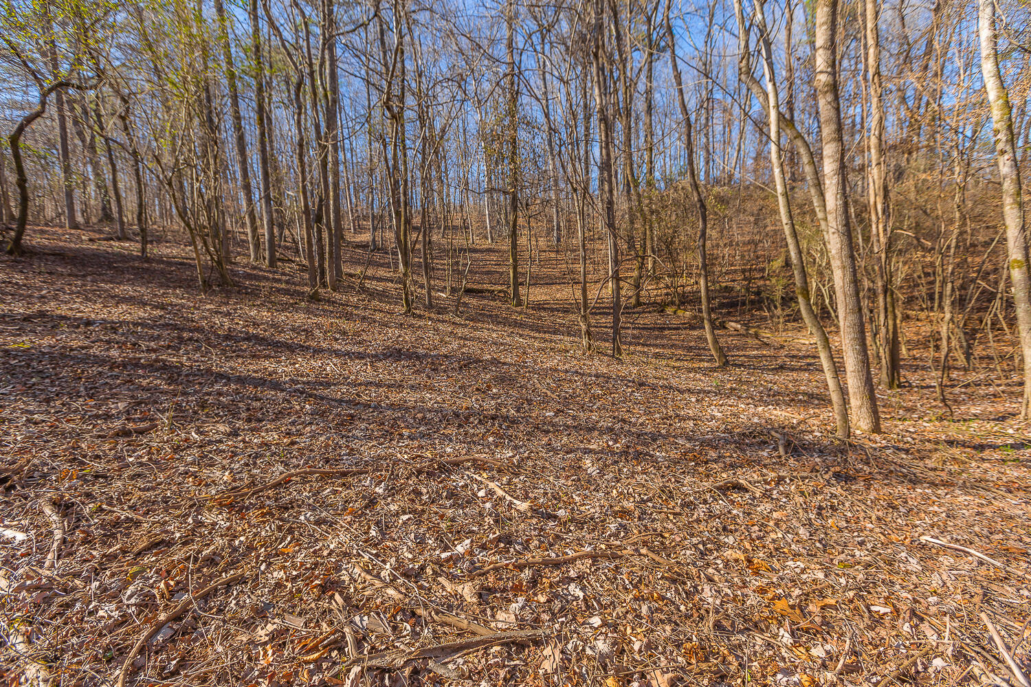 5411 Brown Chapel Lane, Chattanooga, Tennessee image 9