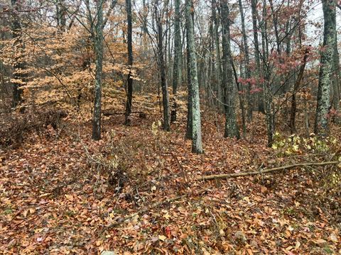 Photo of 280 Timber Ridge; Lot 5 Drive, Kimball, TN 37347 (MLS # 1520736)