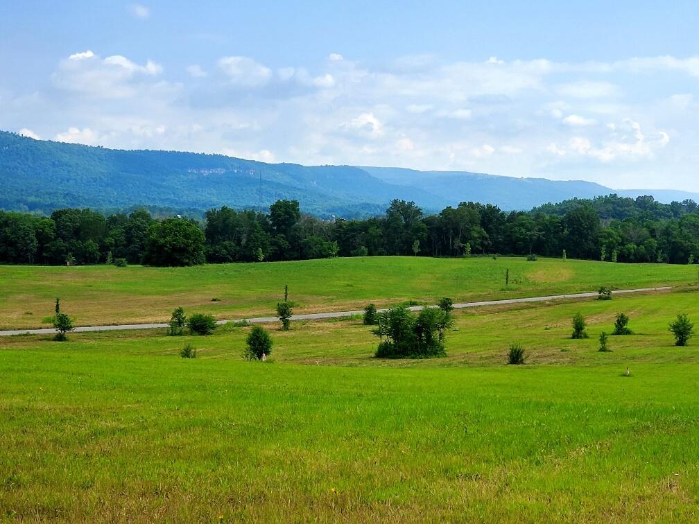 124 River Ridge Drive, Dunlap, Tennessee image 4