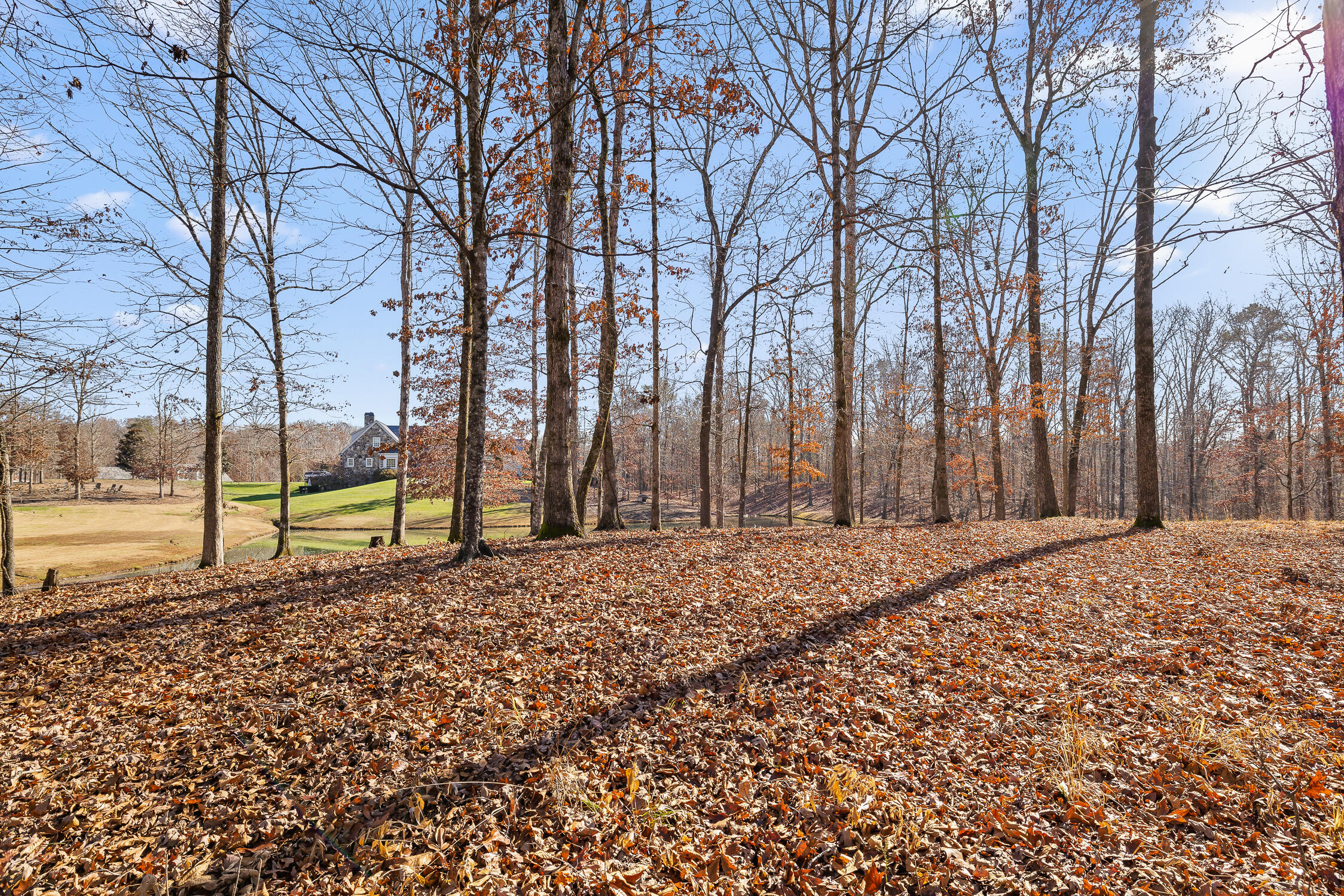 Litchfield Lane, Cleveland, Tennessee image 31