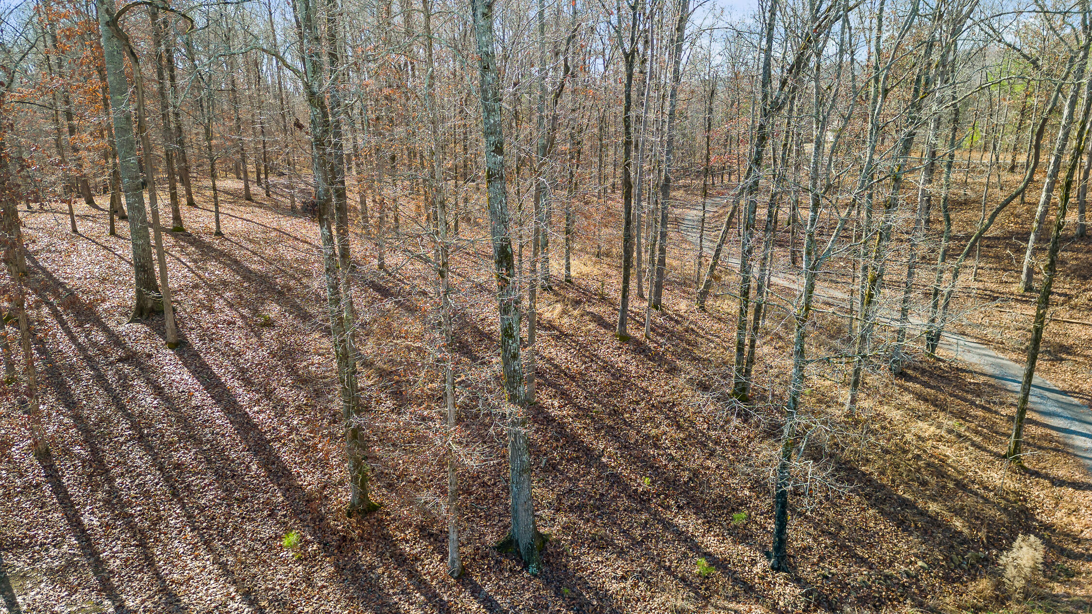 Litchfield Lane, Cleveland, Tennessee image 17