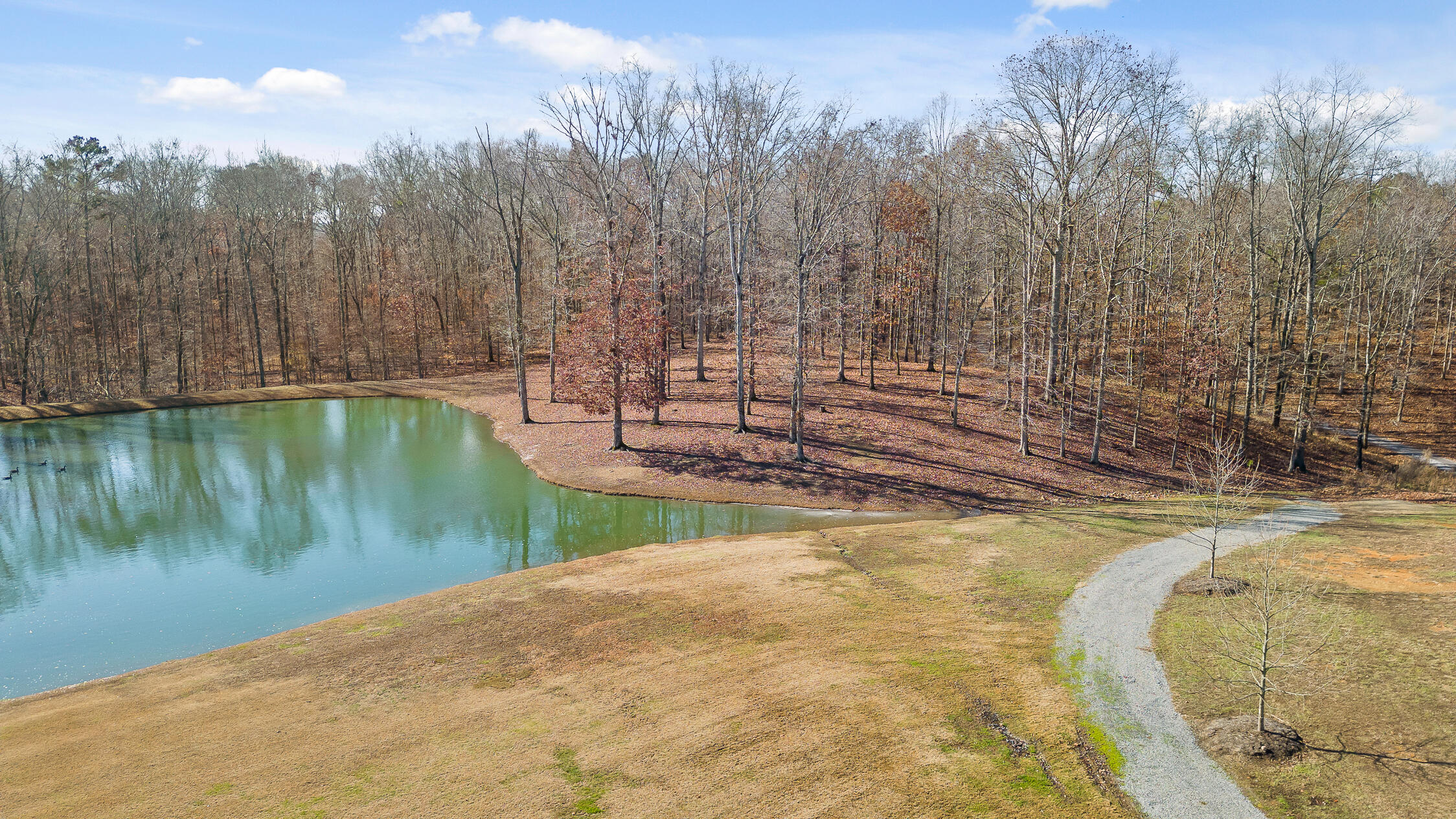 Litchfield Lane, Cleveland, Tennessee image 14